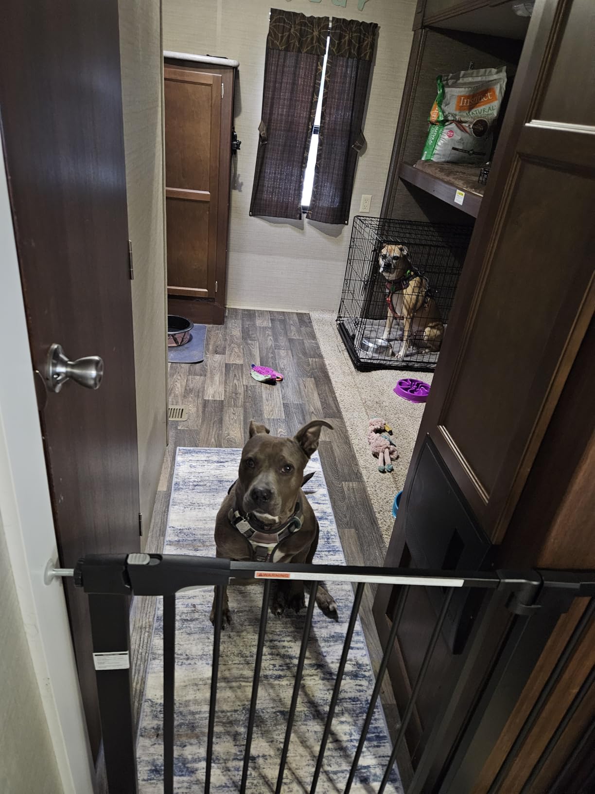 Mumeasy Baby Gate Extra Wide, 29.5-51'' Pressure Mounted Dog Gate with Walk Thru Door, Auto Close Pet Gate for House, Stairs, Doorways,Black - Customer Photo 2