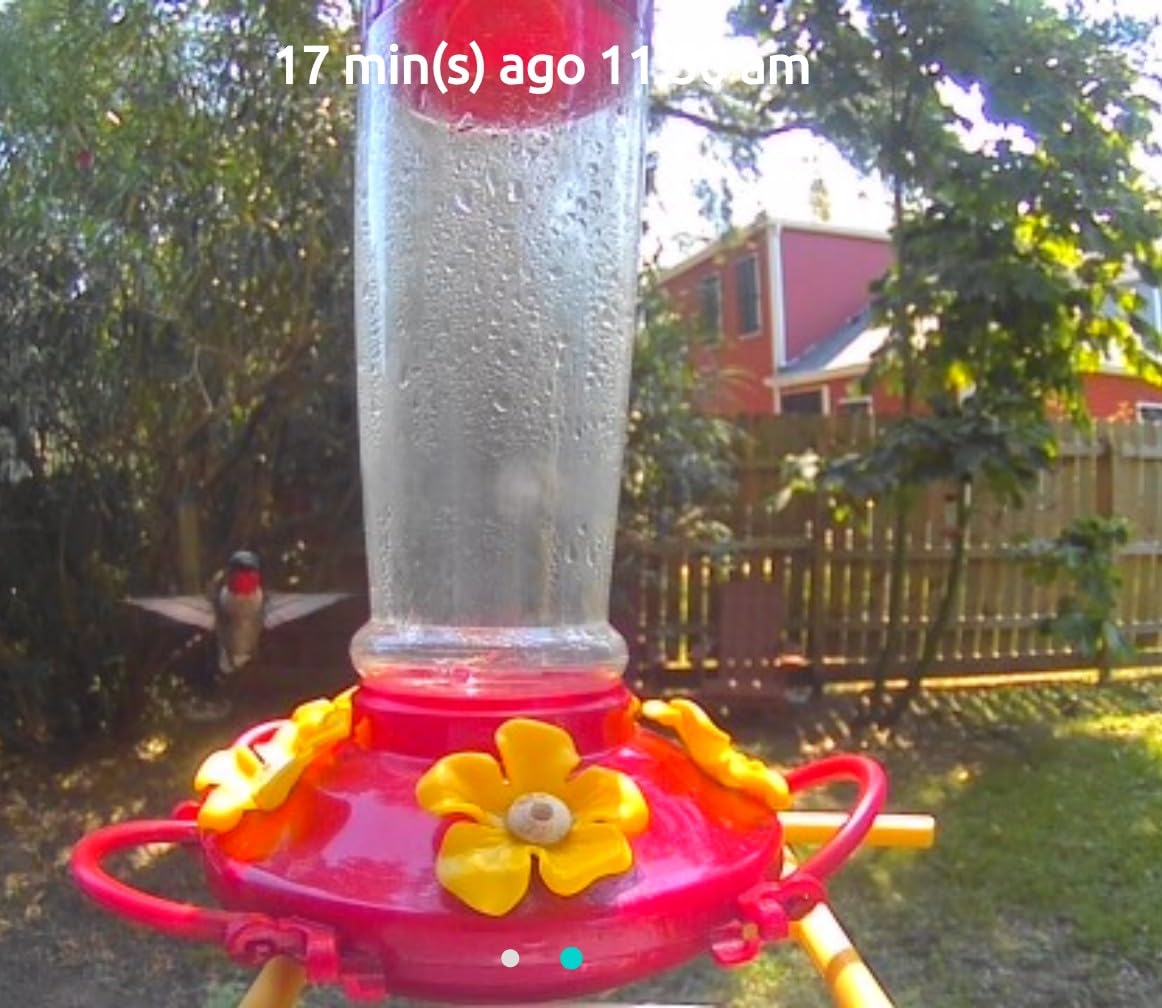 NETVUE by Birdfy Smart Bird Feeder with Camera – AI Identifies Birds Species 2MP Night Vision & App Alerts, 2.4Ghz Wi-Fi Connect IP65 Weatherproof Bird Camera-Gift for Backyard BirdWatchers, Yellow - Customer Photo 1