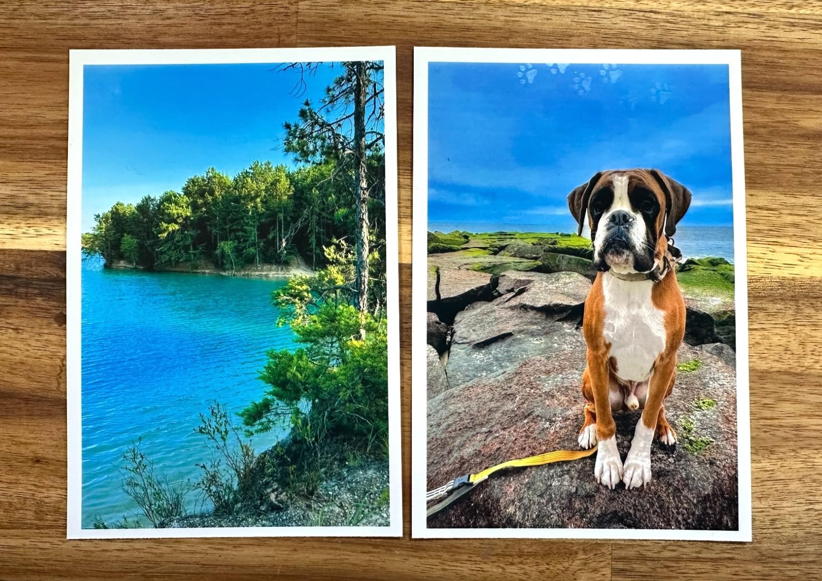 Canon Selphy CP1500 Wireless Compact Photo Printer (Black) - Customer Photo 3