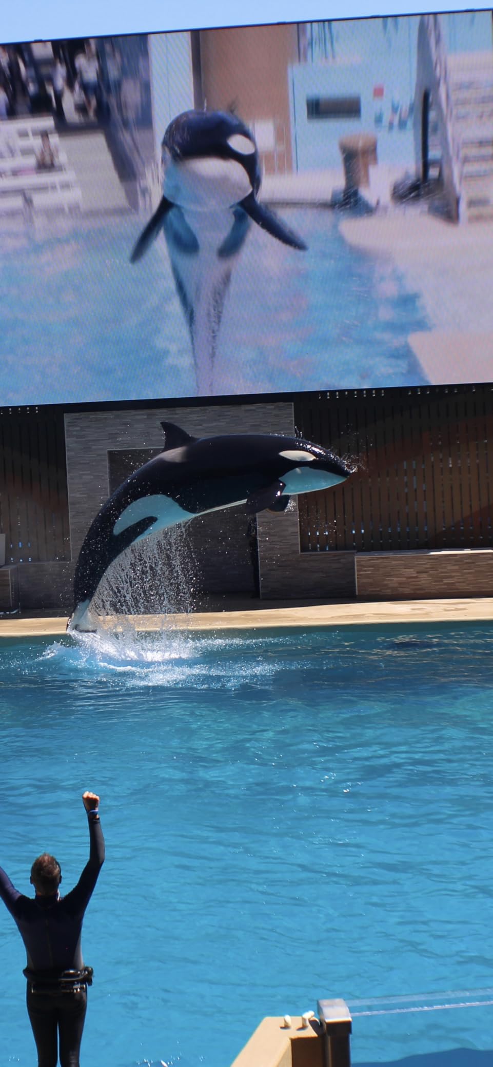 Canon EOS T100/4000D DSLR Camera with EF-S 18-55mm Lens, SanDisk Memory Card, Tripod, Flash, Backpack + ZeeTech Accessory Bundle (Canon 18-55mm, SanDisk 64GB) (Renewed) Customer Review Canon EOS T100/4000D DSLR Camera with EF-S 18-55mm Lens, SanDisk Memory Card, Tripod, Flash, Backpack + ZeeTech Accessory Bundle (Canon 18-55mm, SanDisk 64GB) (Renewed) - Customer Photo 1