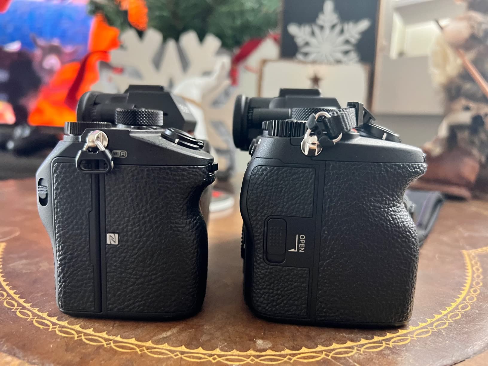 Sony Alpha 7R V Full-Frame Mirrorless Interchangeable Lens Camera - Customer Photo 2