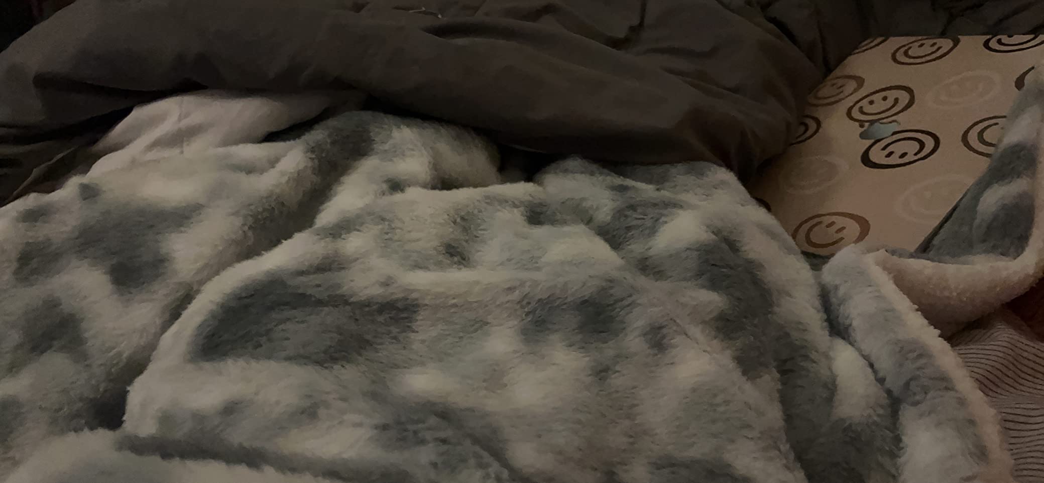 GOQO TOMO Heated Weighted Blanket, with Premium Glass Beads 60