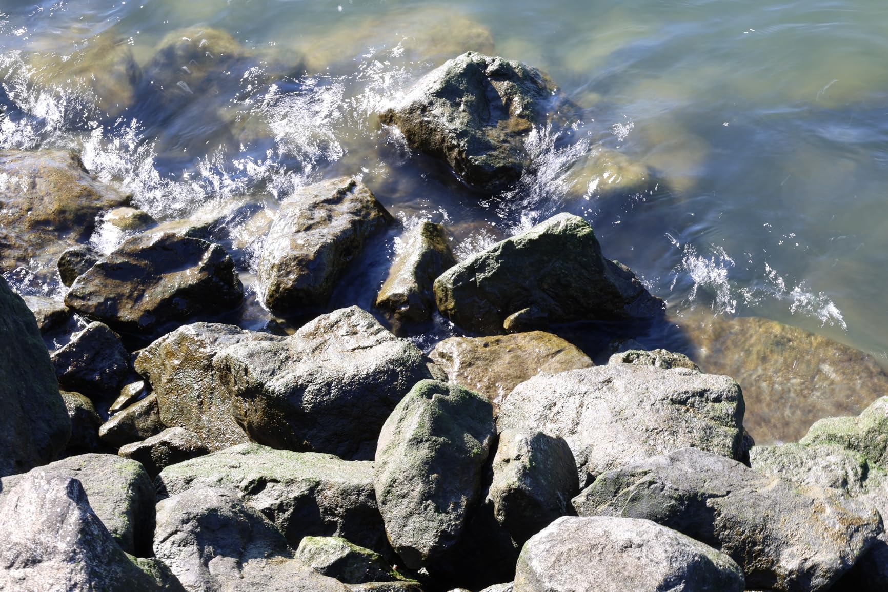 EOS R6 Mark II Mirrorless Camera RF24-105mm F4-7.1 is STM Lens Kit, Full-Frame Hybrid Camera, 24.2 Megapixel CMOS Sensor, Photo and Video Capabilities, Black - Customer Photo 2