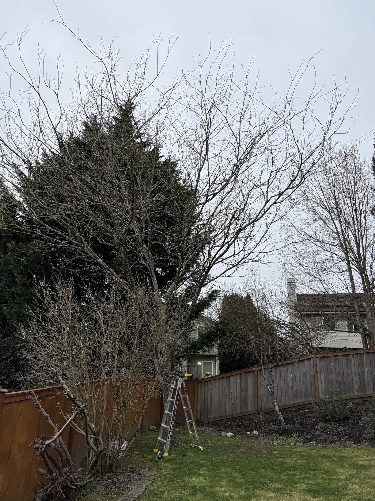 XRJ08Z 18V LXT® Lithium-Ion Brushless Cordless Compact One-Handed Recipro Saw, Tool Only Customer Review XRJ08Z 18V LXT® Lithium-Ion Brushless Cordless Compact One-Handed Recipro Saw, Tool Only - Customer Photo 1