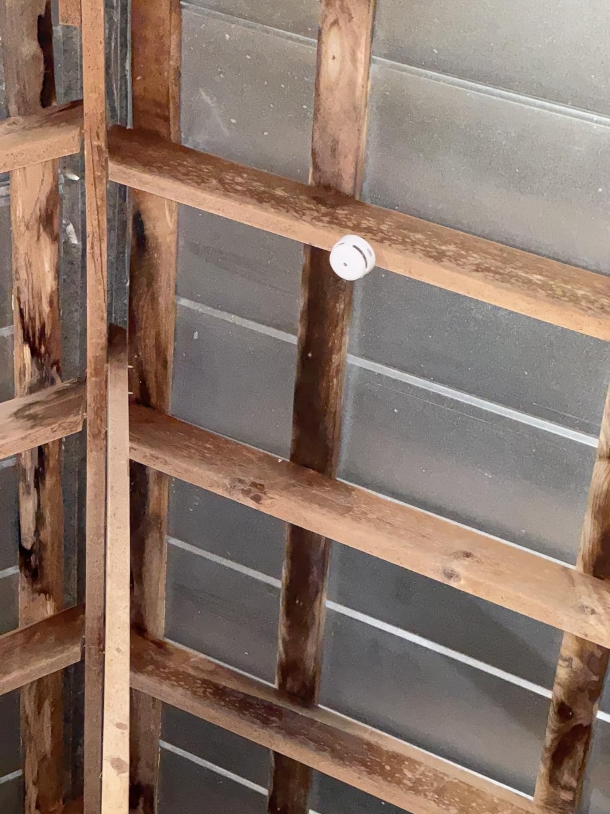 X-Sense Smart Smoke Detector Fire Alarm with Replaceable Battery, Wi-Fi Smoke Detector, Real-Time App Notifications, XS01-WX, 1-Pack - Customer Photo 2