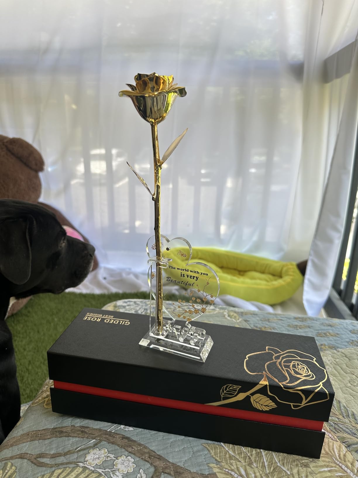 Gold Dipped Rose Real 24K Gold Rose, Genuine One of a Kind Rose Hand Dipped in 24K Golden Roses Romantic Gifts for Women in Her Birthday Anniversary Day Mothers Day - Customer Photo 2