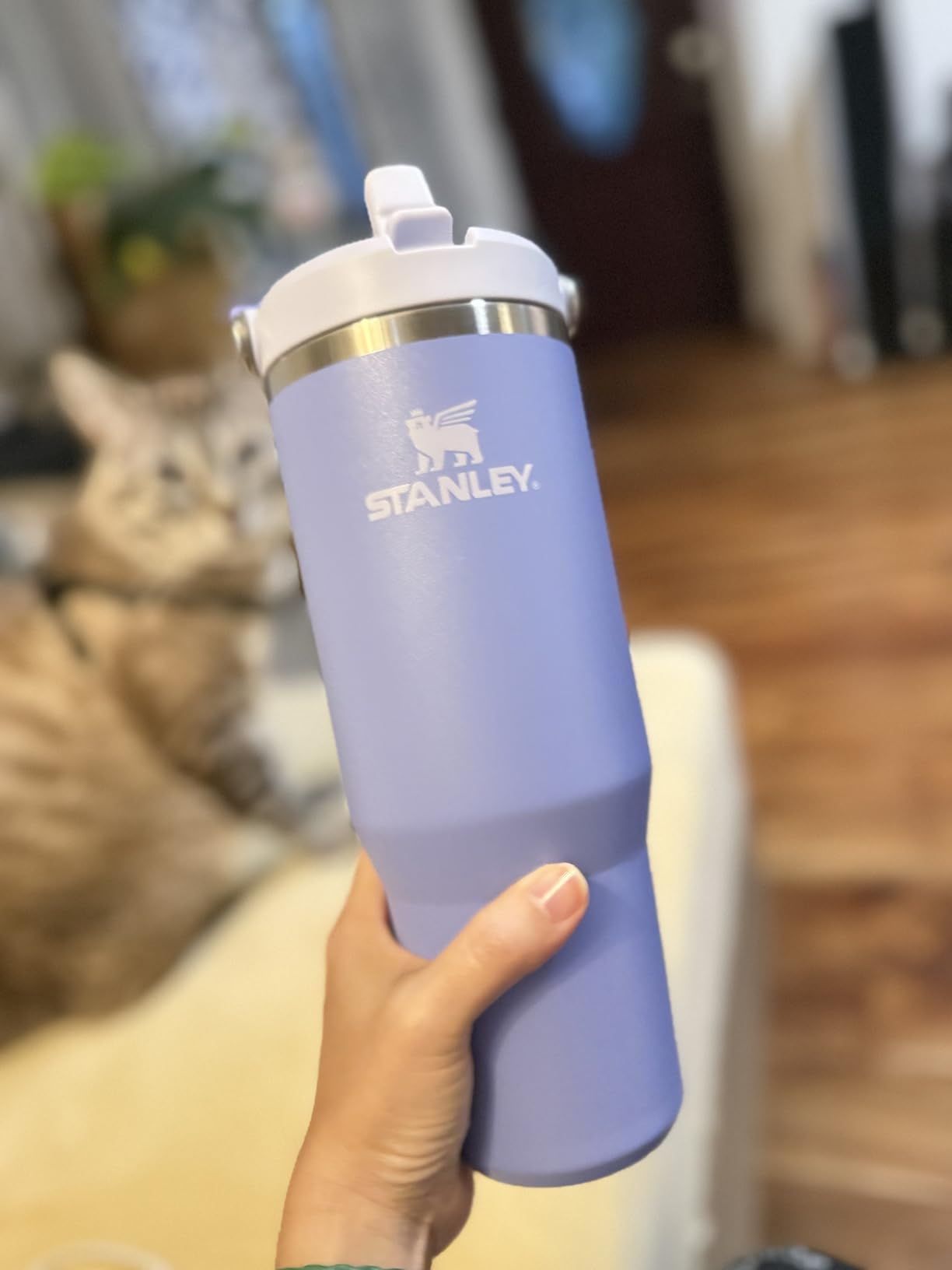 Stanley IceFlow Flip Straw Tumbler with Handle | Twist On Lid and Flip Up Straw | Leak Resistant Water Bottle | Insulated Stainless Steel | BPA-Free Customer Review Stanley IceFlow Flip Straw Tumbler with Handle | Twist On Lid and Flip Up Straw | Leak Resistant Water Bottle | Insulated Stainless Steel | BPA-Free - Customer Photo 1