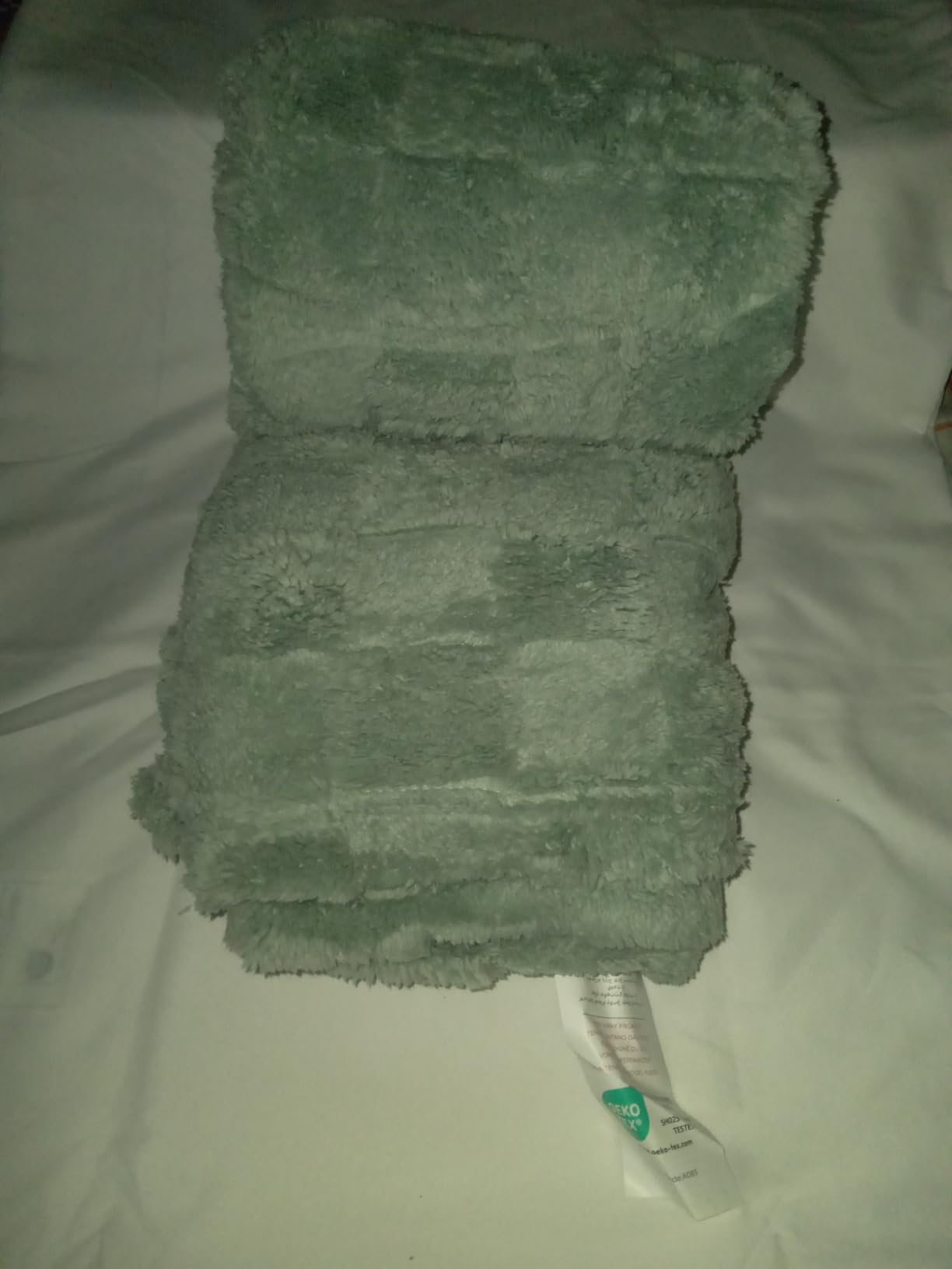 Bedsure GentleSoft Sage Green Throw Blanket for Couch - Checkered Fleece Blankets Christmas Gifts for Women Men Girls, Cute Soft Cozy Throw for Bedroom Home Decor Gifts, 50x60 Inches - Customer Photo 1