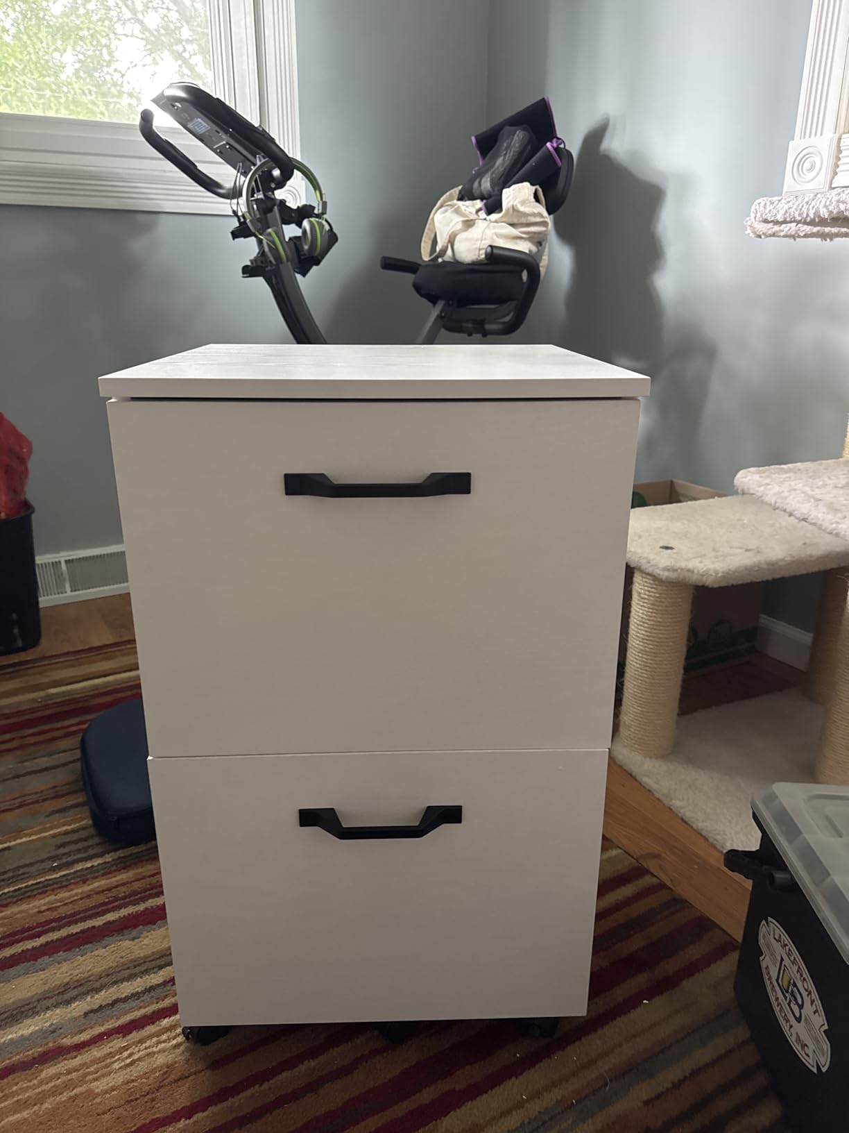 VASAGLE 2-Drawer File Cabinet, Small Rolling Filing Cabinet for Home Office, Printer Stand, for A4, Letter-Size Documents, 15.7 x 16.5 x 27.6 Inches, Matte Black UOFC040B16 Customer Review VASAGLE 2-Drawer File Cabinet, Small Rolling Filing Cabinet for Home Office, Printer Stand, for A4, Letter-Size Documents, 15.7 x 16.5 x 27.6 Inches, Matte Black UOFC040B16 - Customer Photo 2