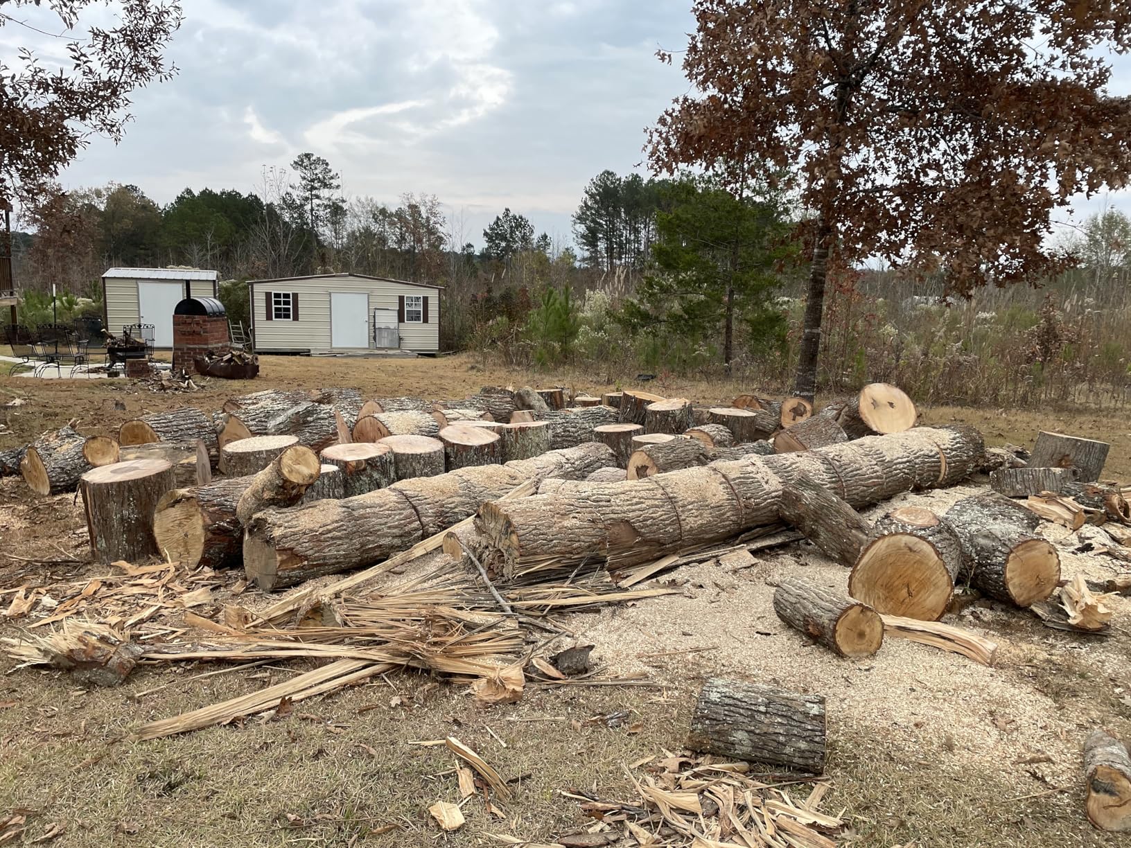 Husqvarna 450 Rancher 20 Inch Gas Chainsaw, 50.2-cc 3.2-HP, 2-Cycle X-Torq Engine, For Tree Pruning, Yard Cleanups and Firewood Cutting - Customer Photo 1