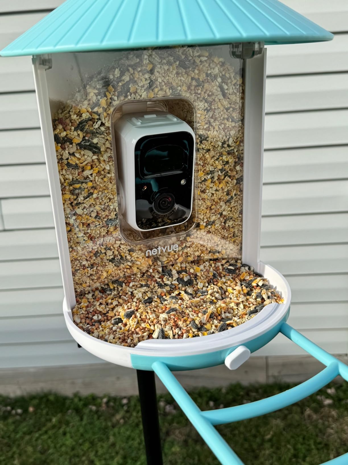 NETVUE by Birdfy Pro Smart Bird Feeder with Camera Solar Panel, Instant Arrival Alerts, Live Stream & Night Vision for Outdoors & Backyard Hummingbird, Cardinalis & Oriole Watching, Ideal Gifts, Blue - Customer Photo 3