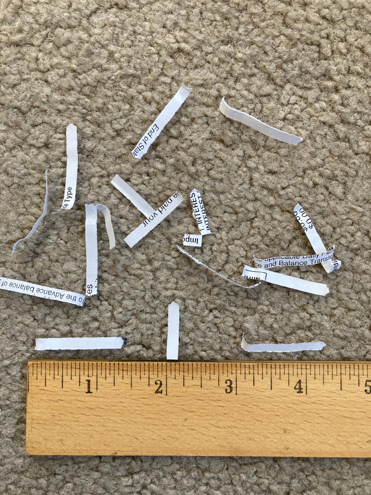 Paper Shredder for Home Office10-Sheet Cross-Cut Shredder with US Patented Cutter,Also Shreds Card/CD/Clip,Paper Shredding Machine for Home Use Heavy Duty with Jam Proof,3.9-Gallon Bin - Customer Photo 1