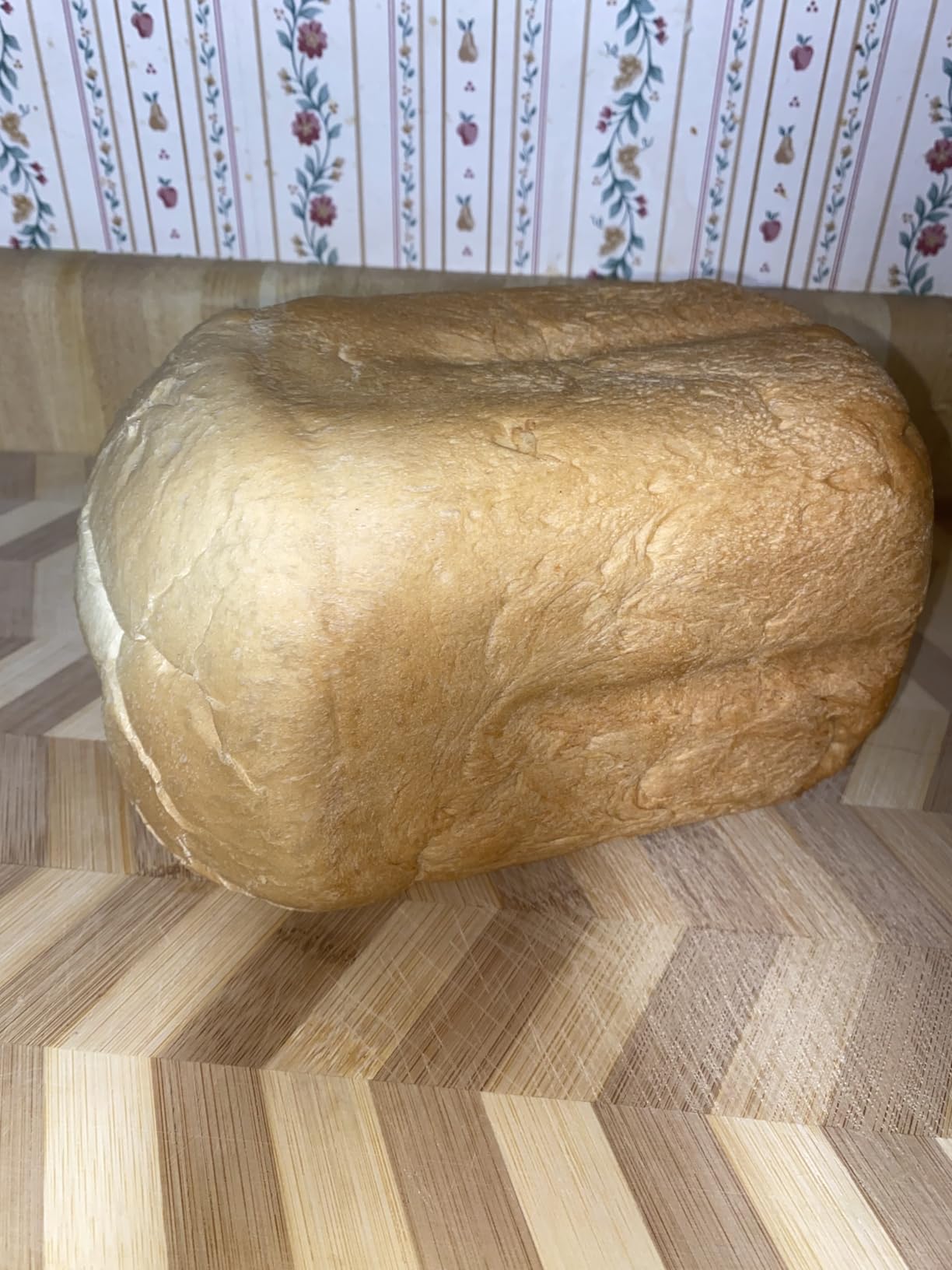 Cuisinart Bread Maker Machine, Stainless Steel Convection Bread Machine with 16 Menu Options, 3 Loaf Sizes Up to 2 Lb., 3 Crust Colors, Includes Measuring Cup, Spoon & Kneading Hook, CBK-210 - Customer Photo 1