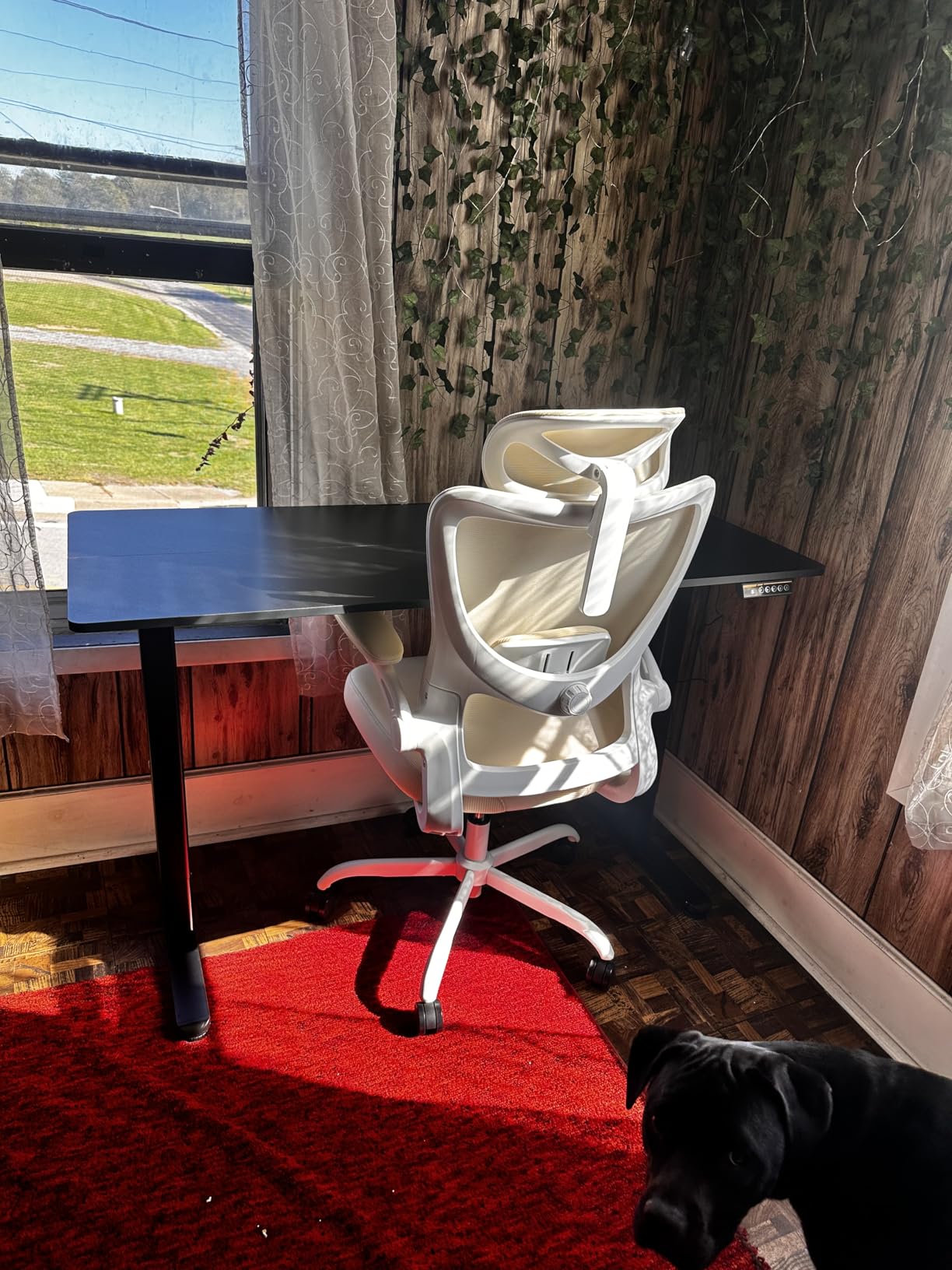 Claiks Electric Standing Desk, Adjustable Height Stand up Desk, 24x48 Inches Sit Stand Home Office Desk with Splice Board, Black Frame/Rustic Brown Top - Customer Photo 1