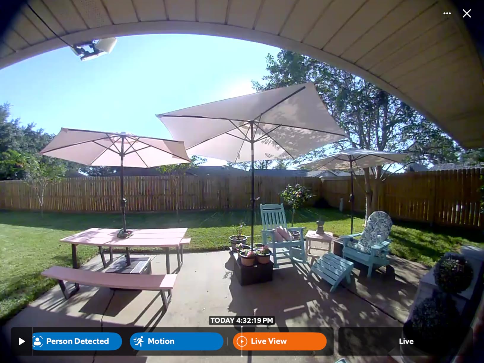 Ring Battery Doorbell | Home or business security with Head-to-Toe Video, Live View with Two-Way Talk, and Motion Detection & Alerts (newest model), Venetian Bronze - Customer Photo 2