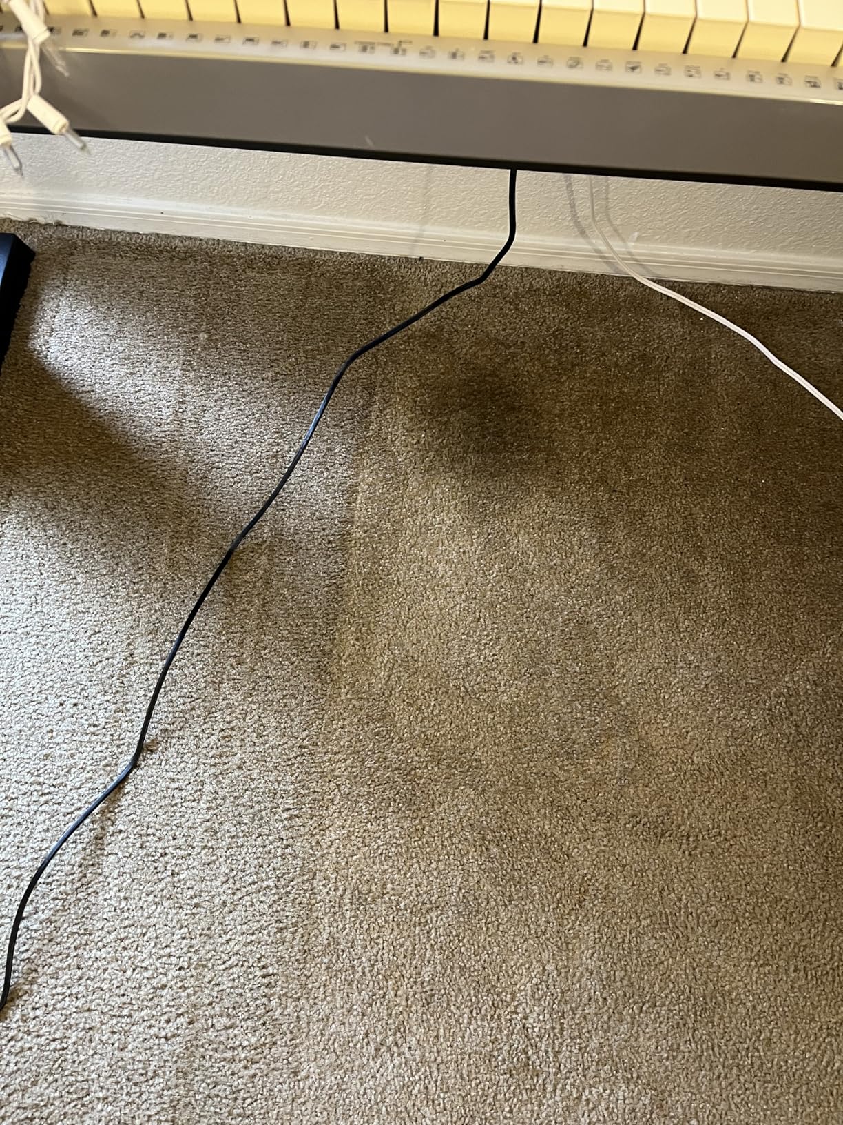 Hoover PowerDash Pet+ Compact Carpet Cleaner Machine, Lightweight Carpet Shampooer Machine, Pair with a Hoover Carpet Cleaner Solution for a Bright, Refreshed Home - Customer Photo 2