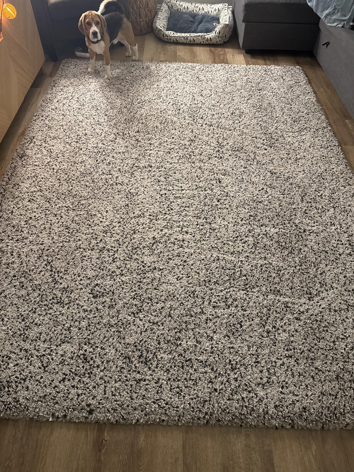 Hoover PowerDash Pet+ Compact Carpet Cleaner Machine, Lightweight Carpet Shampooer Machine, Pair with a Hoover Carpet Cleaner Solution for a Bright, Refreshed Home - Customer Photo 5