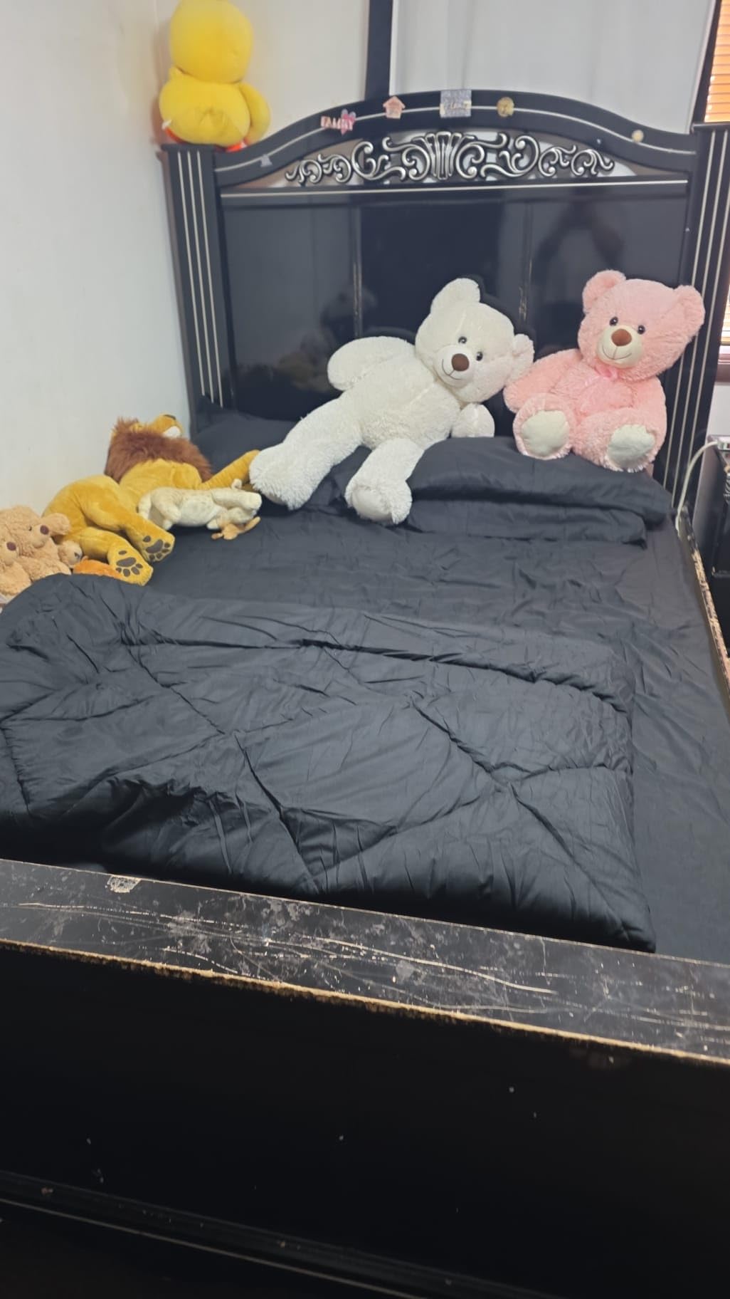 Newspin Queen Comforter Set Black - Bed in a Bag Queen Size 8 Pieces, All Season Bed Set, Fluffy Comforter Set with Sheets, Sheet Set Quilt Blanket, Pillowcases & Shams & Bed Skirt - Customer Photo 1