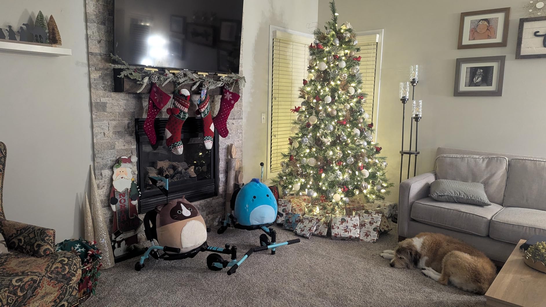 Crazy Cart Shuffle by Razor – Kid-Powered Drifting Go-Kart for Ages 4+, Crazy Cart Drift Bar Technology, Adjustable Frame with 5 Length Settings - Customer Photo 2