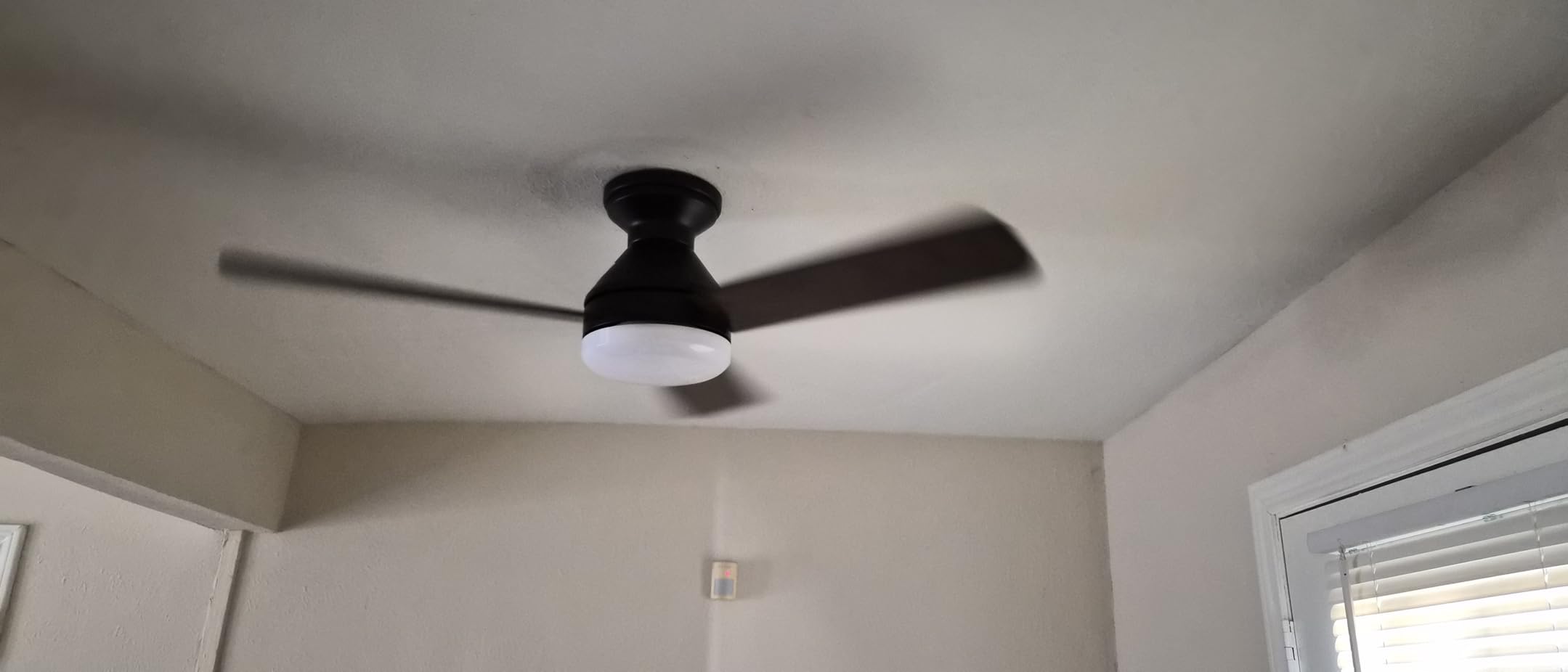 Amico Ceiling Fans with Lights, 42 inch Low Profile Ceiling fan with Light and Remote Control, Flush Mount, Reversible, 3CCT, Dimmable, Noiseless, Black Ceiling Fan for Bedroom, Indoor/Outdoor Use - Customer Photo 1