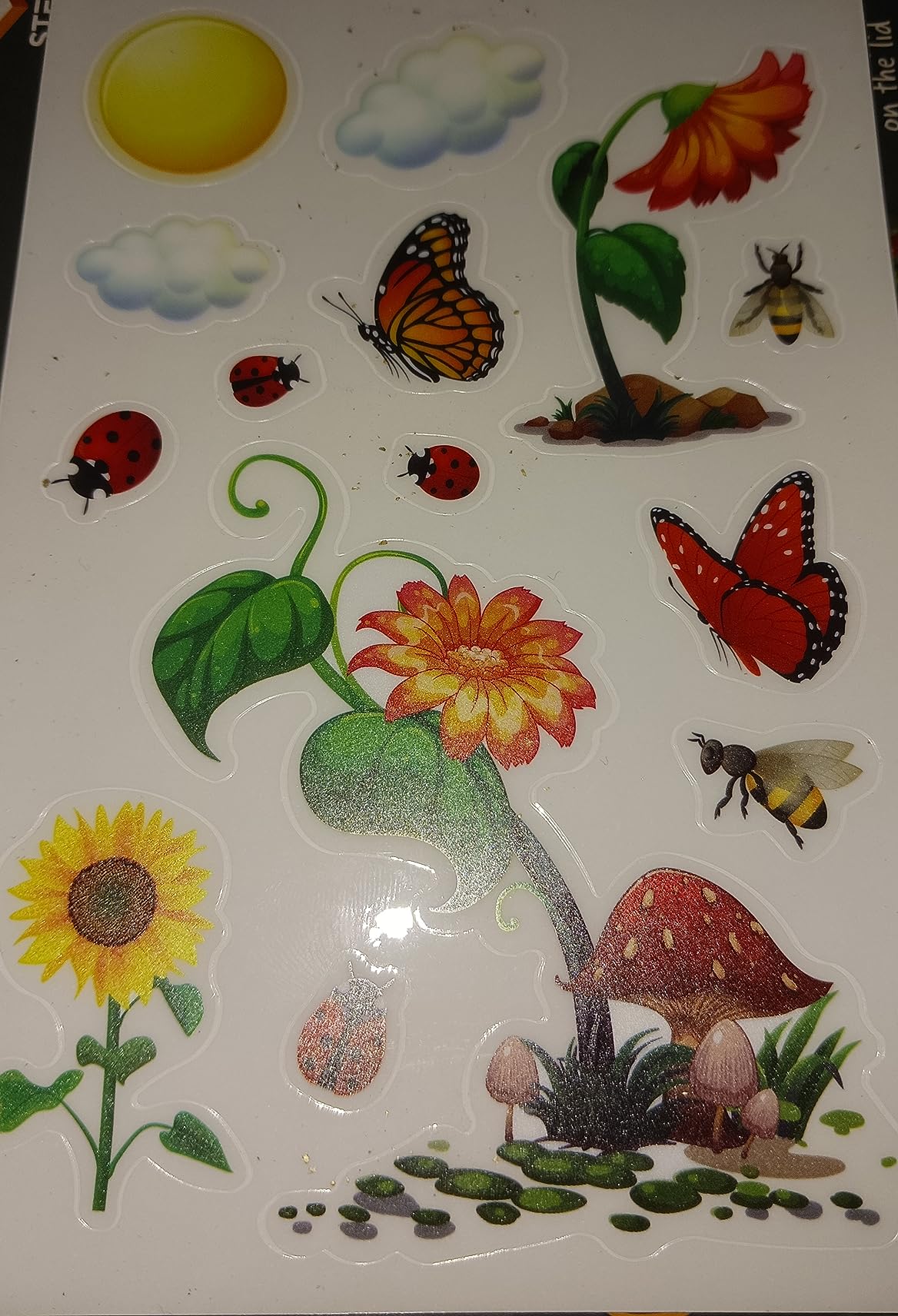 Dan&Darci Light-Up Terrarium Kit for Kids - STEM Science Kit - Educational DIY Toy for Boys & Girls - Birthday Craft Project Idea for Ages 6 7 8 9 10 11 12 Year Old - Customer Photo 1