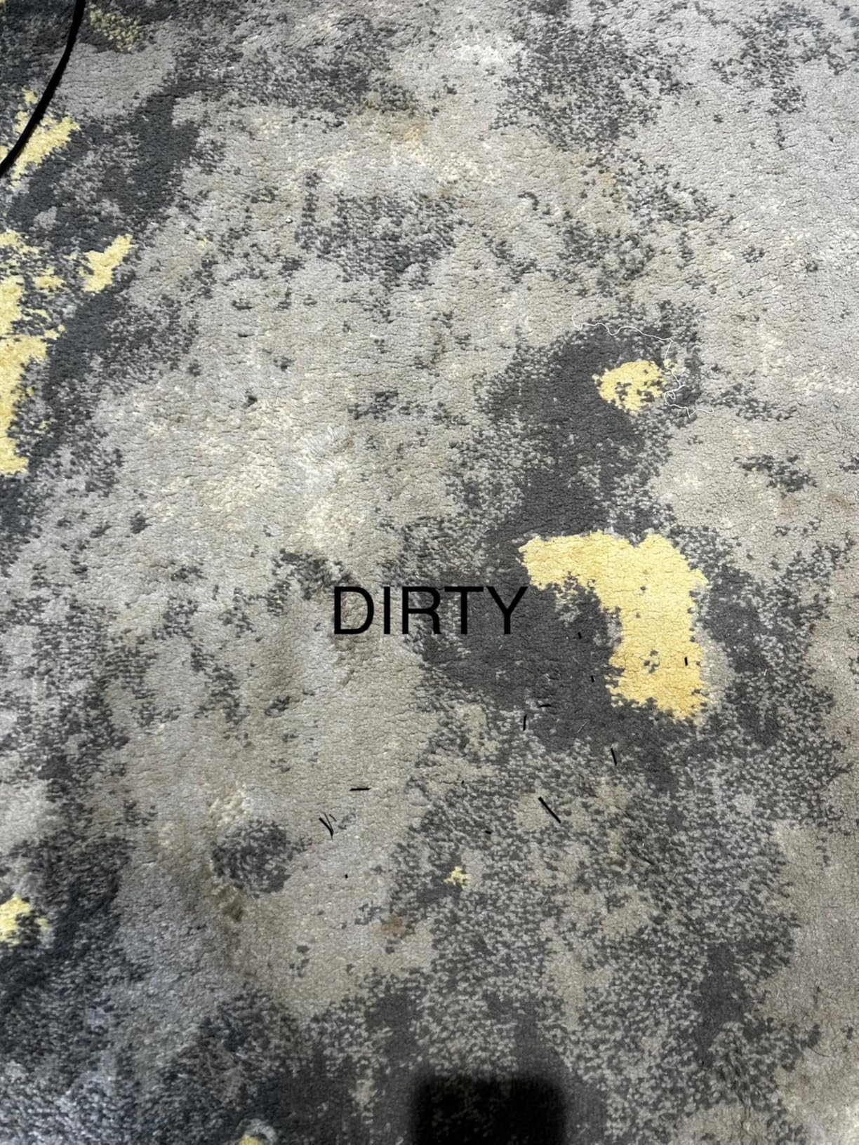 Shark StainStriker Portable Carpet, Upholstery & Area Rug Cleaner with Pet Mess Tool, Stain & Odor Remover, Perfect for Car Interiors, Includes 3 Cleaning Tools & Cleaning Solution, White, PX201 - Customer Photo 2