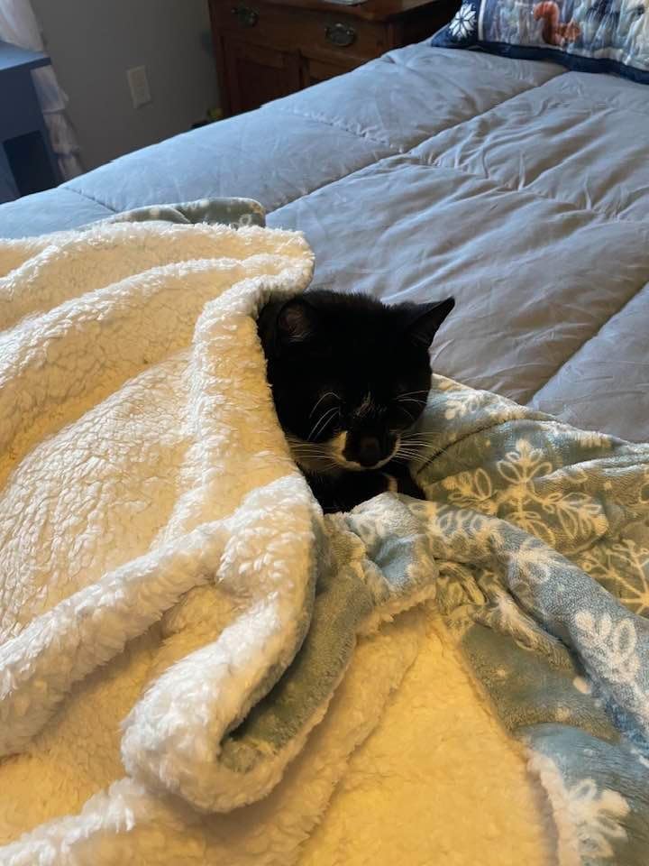 Ribbed Texture Reversible Taupe Throw Blanket, Fluffy and Luxurious King Blanket (90