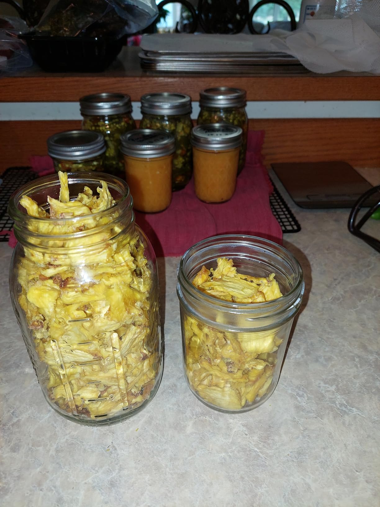 Food-Dehydrator Machine 8 Stainless Steel Trays, 500W Jerky Dehydrator for Meat, 190ºF Mushroom Dryer, 24H Timer Fruits Dryer for Herbs, Veggies, Yogurt & Dog Treats - Customer Photo 1