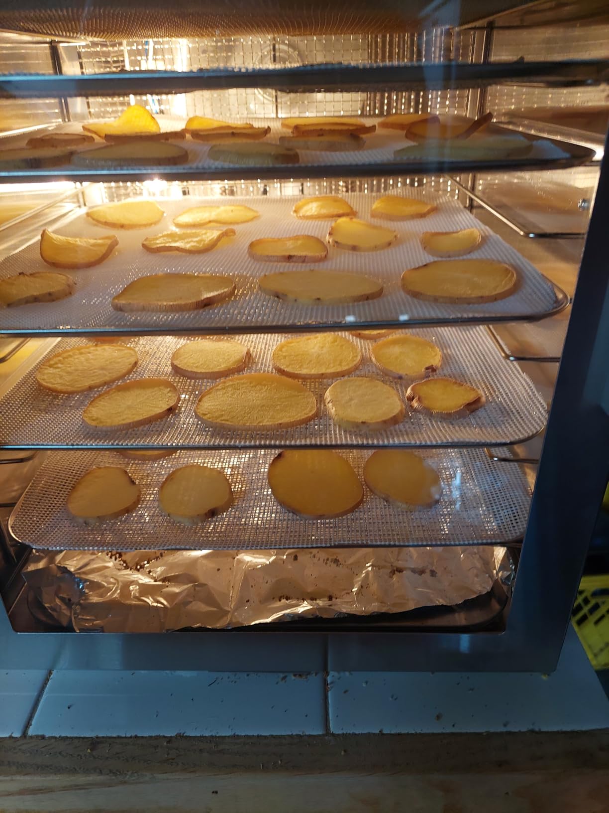 Food-Dehydrator Machine 8 Stainless Steel Trays, 500W Jerky Dehydrator for Meat, 190ºF Mushroom Dryer, 24H Timer Fruits Dryer for Herbs, Veggies, Yogurt & Dog Treats - Customer Photo 2