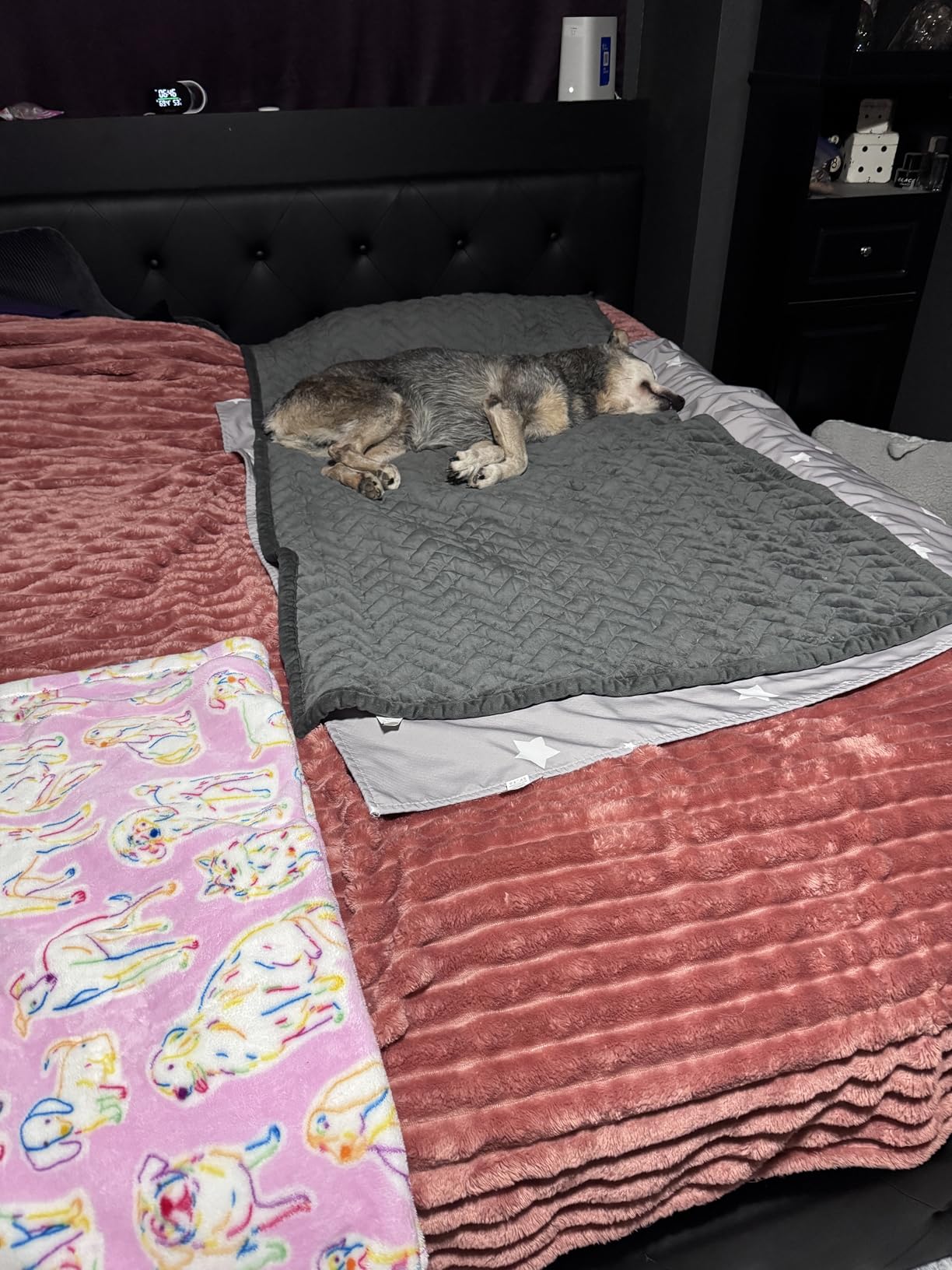 Bedsure GentleSoft Black Fleece Blanket for Couch - Cozy Soft Blankets for Women, Cute Small Throws for Girls, 50x70 Inches - Customer Photo 2