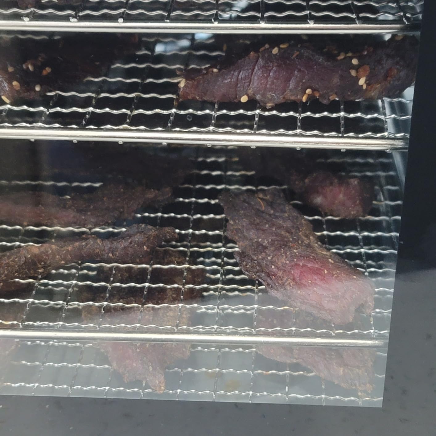 COSORI Food Dehydrator for Jerky, 176°F Temperature Control, 5 Stainless Steel Trays Dryer Machine, 4 Presets, 48H Timer, for Dog Treats, Meat, Fruit, Veggies, Snacks, Recipe Book Included - Customer Photo 1