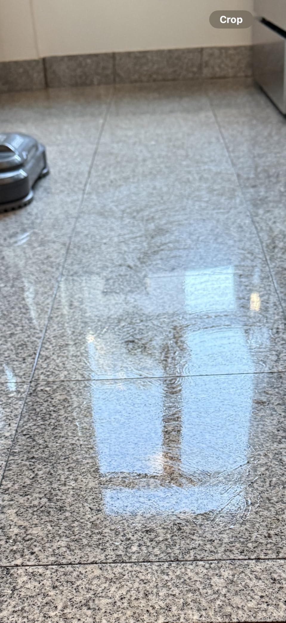 BISSELL SpinWave SmartSteam Scrubbing Steam Mop with Rotating Mop Pads - Customer Photo 1