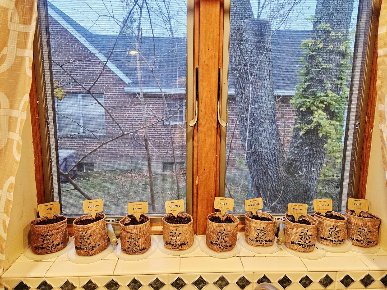 Planters' Choice 9 Herb Indoor Window Garden Kit - House Plants Seeds - Best Unique Christmas Gift Ideas for Women, Mom, Friend, Her, Birthday, Housewarming, Mother - New Home Kitchen Gifts - Customer Photo 1