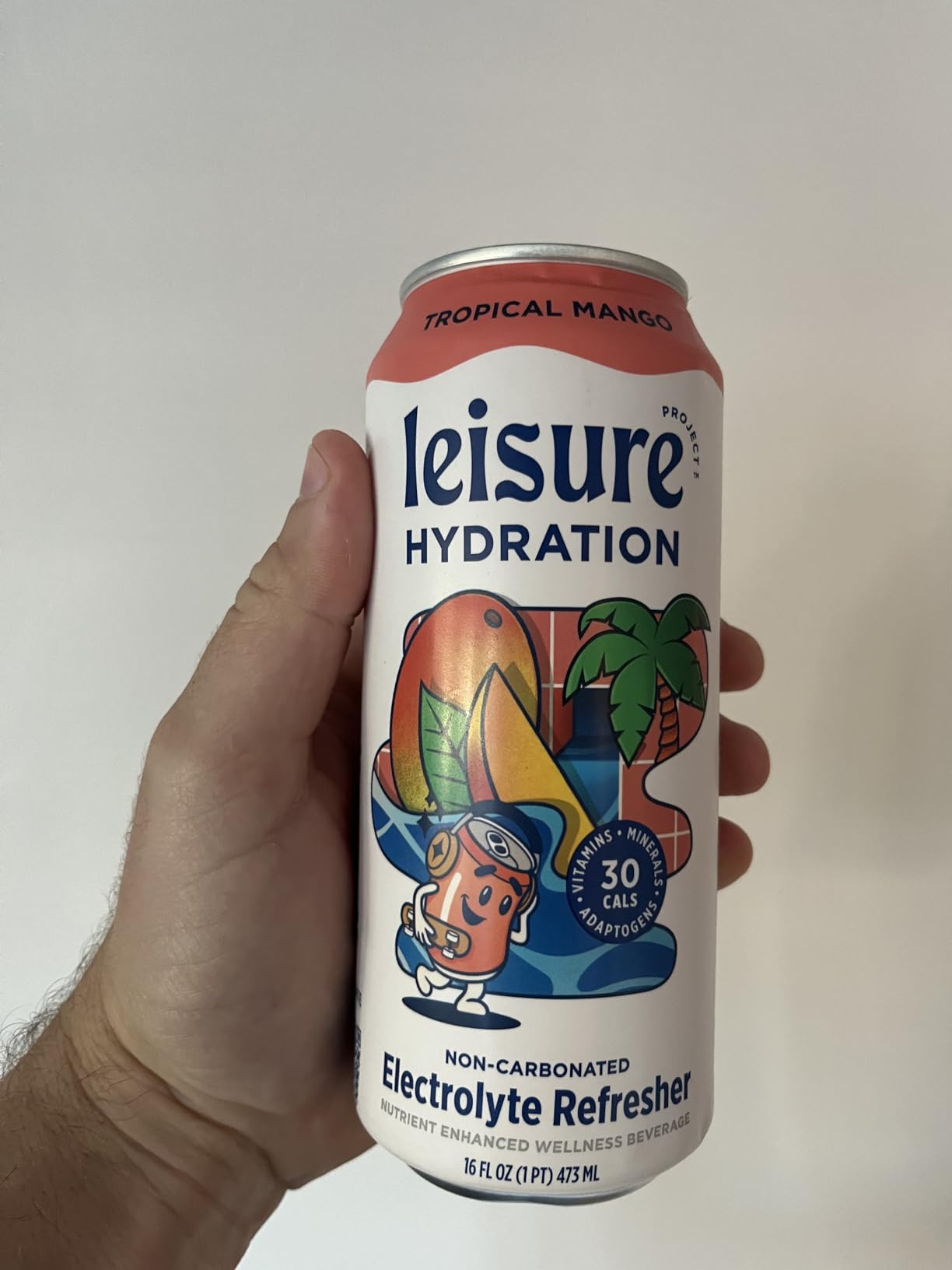 Leisure Hydration Non-Carbonated Electrolyte Refresher, Variety Pack - Low Sugar Nutrient Enhanced Water Beverage - Get The Best Hydration Packed w/ Magnesium & Ashwagandha For Mood & Stress Support, Non-GMO, 16 oz (12-Cans) - Customer Photo 4