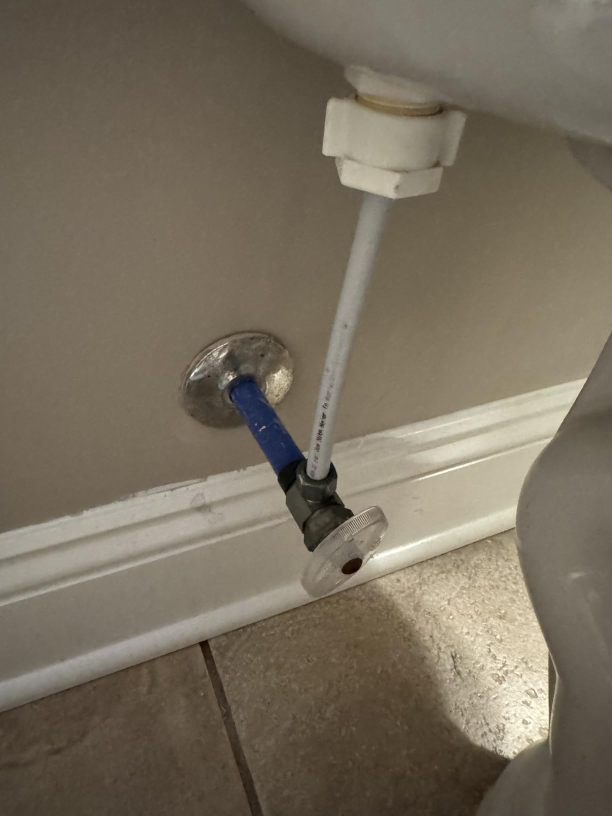 Elongated Bidet Toilet Seat with Quiet-Close, Non-Electric Bidet Mode with Dual Nozzles, Fit Elongated Toilet Seat, Adjustable Water Pressure with Brass inlet (Elongated) - Customer Photo 1