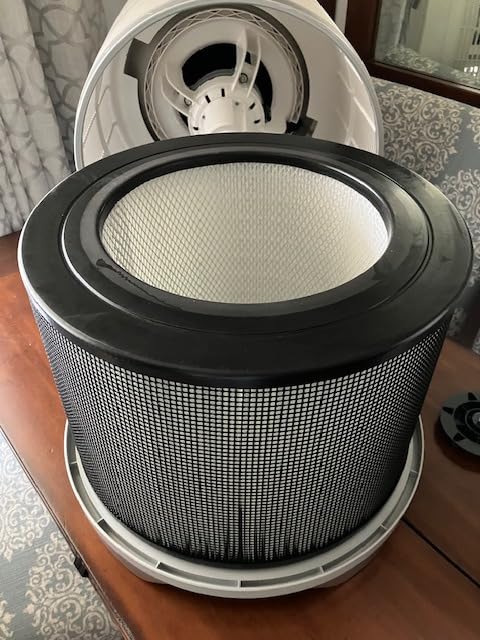 Air Purifiers for Home Large Room up to 2400sq.ft, LUNINO H13 HEPA Air Filter with PM 2.5 Display Air Quality Sensors, Aromatherapy Function, Air Cleaner for Dust, Smoke, Dander, Pets Hair, Pollen - Customer Photo 1