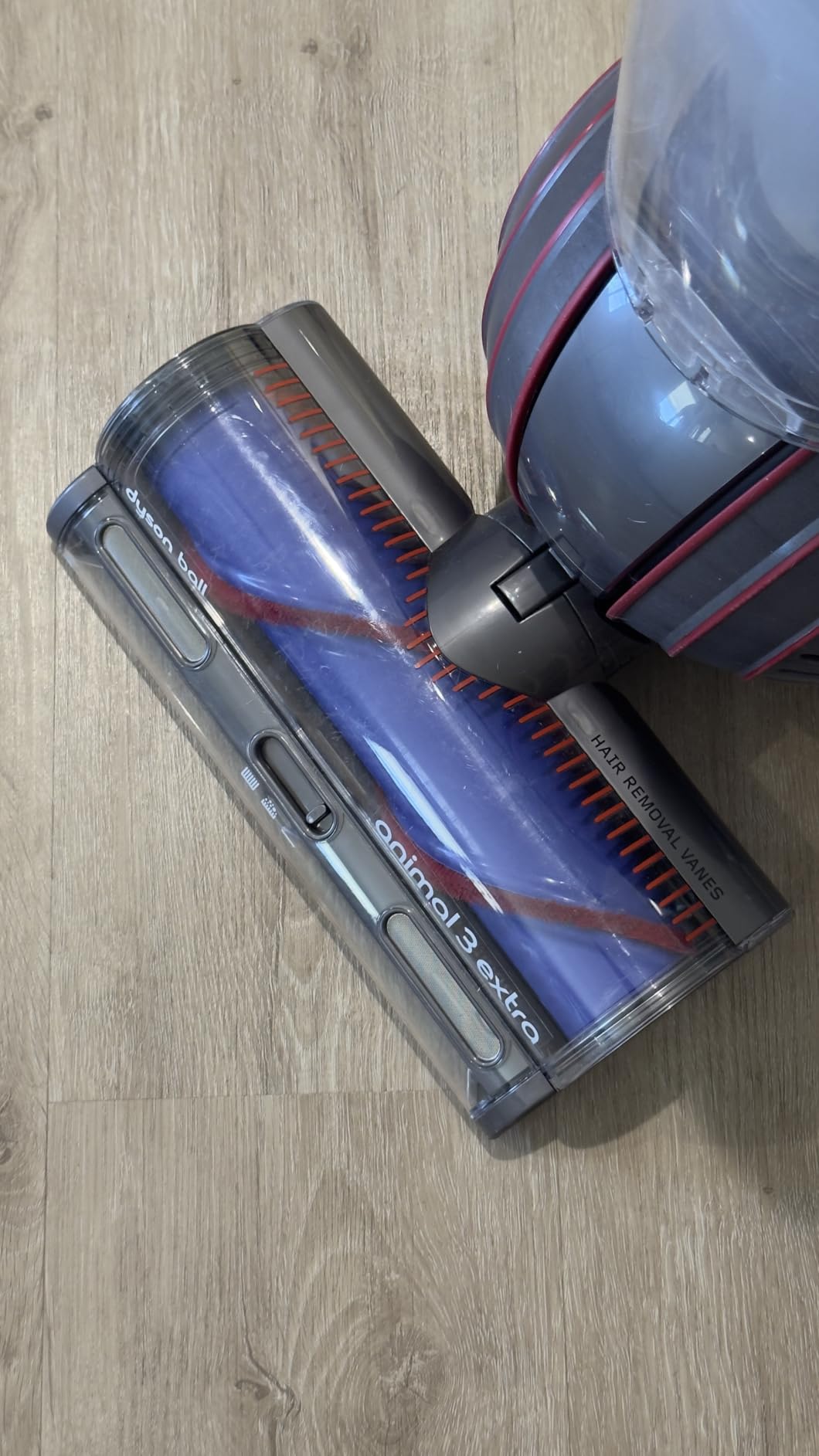 Dyson Ball Animal Total Clean Upright Vacuum, Corded, 290AW, Self-Adjusting Cleaner Head for All Floors, Homes with Pets - Customer Photo 2