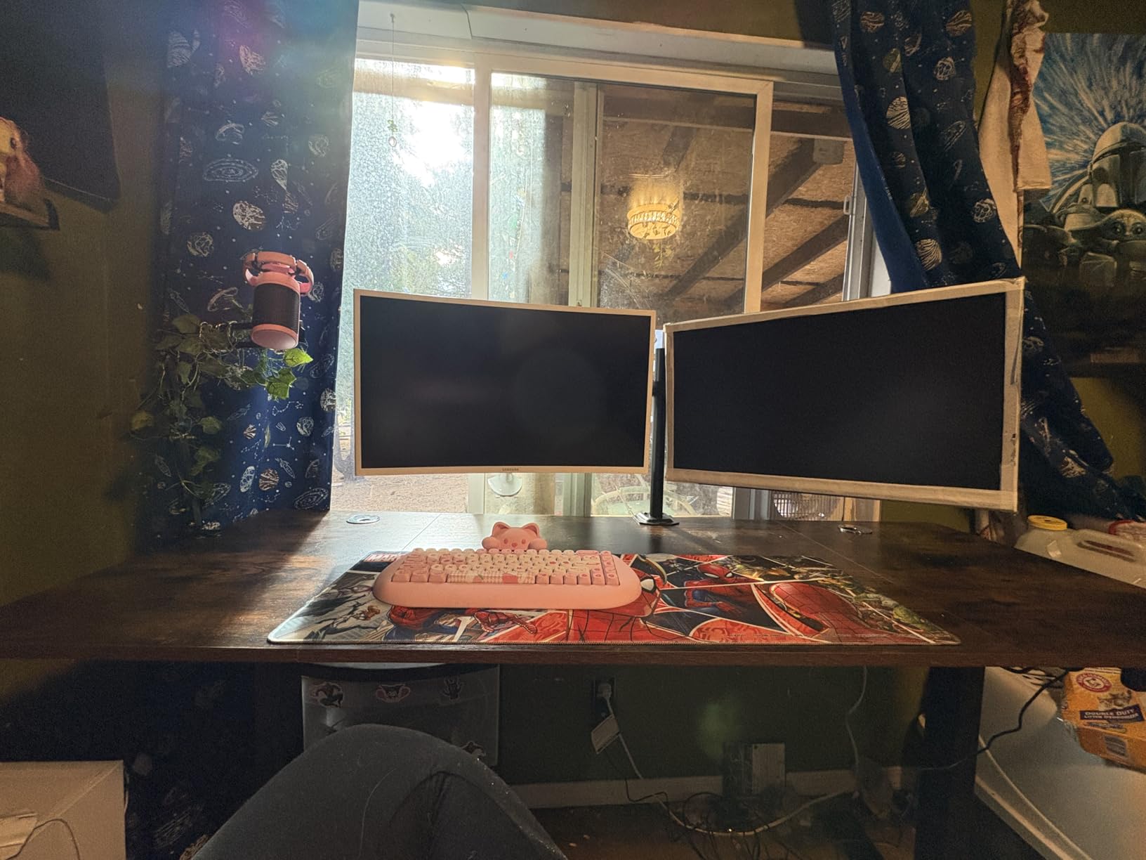 SIAGO Electric Standing Desk Adjustable - 48 x 24 Inch Sit Stand up Desk with Cable Management - 3 Memory Preset Adjustable Height Table - Customer Photo 1