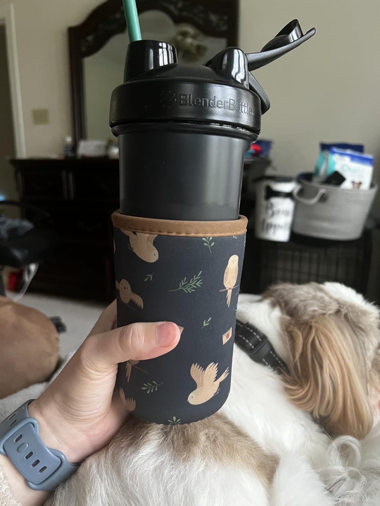 BlenderBottle Classic V2 Shaker Bottle Perfect for Protein Shakes and Pre Workout, 28-Ounce, Black, 2 Pack Customer Review BlenderBottle Classic V2 Shaker Bottle Perfect for Protein Shakes and Pre Workout, 28-Ounce, Black, 2 Pack - Customer Photo 2