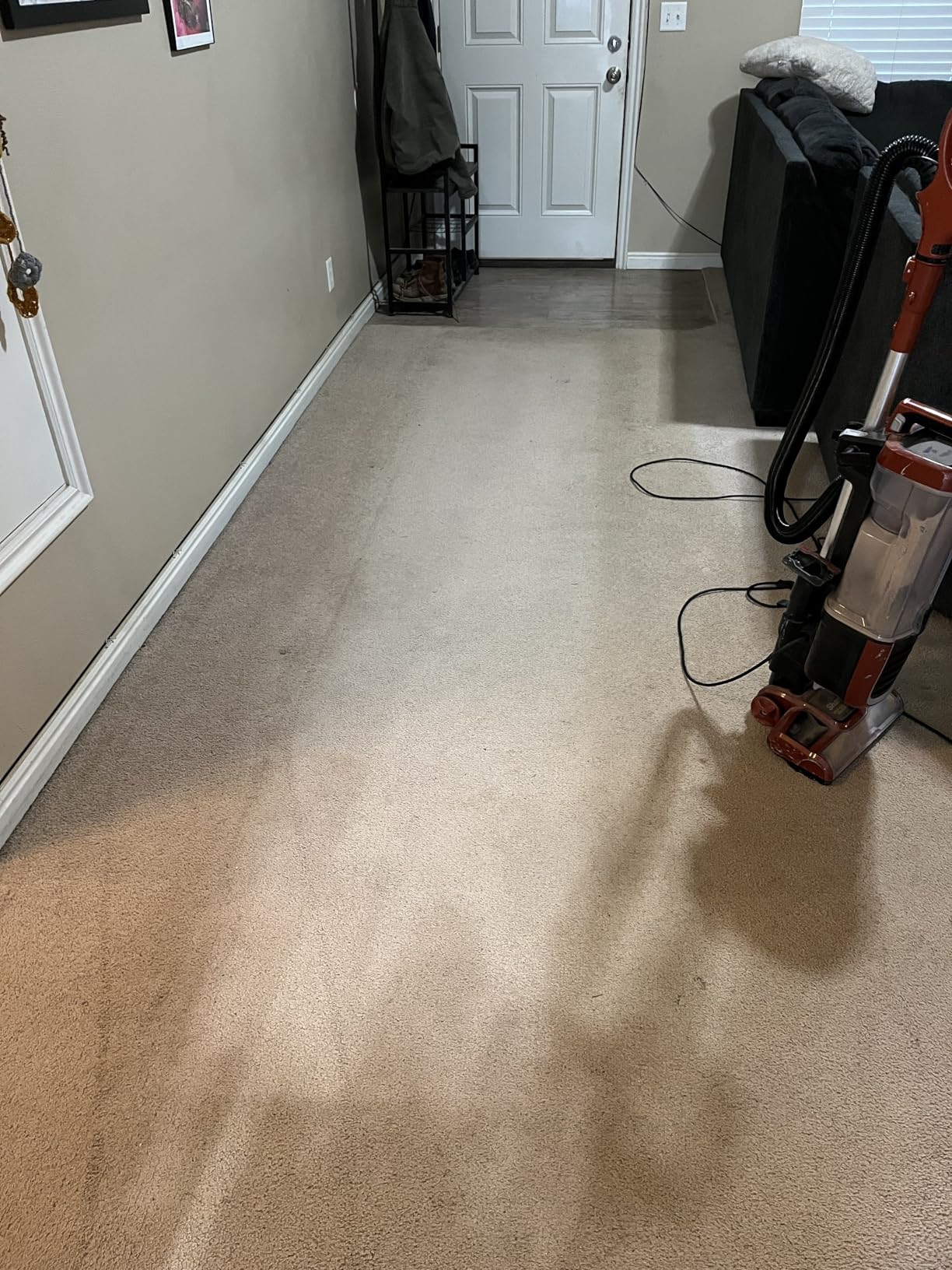 Shark CarpetXpert Upright Carpet & Area Rug Cleaner, Perfect for Pets, Lightweight & Powerful, Dirt, Grime, & Odor Removal, Carpet Shampooer, Cleaning Solution, Blue, EX121BRN - Customer Photo 2