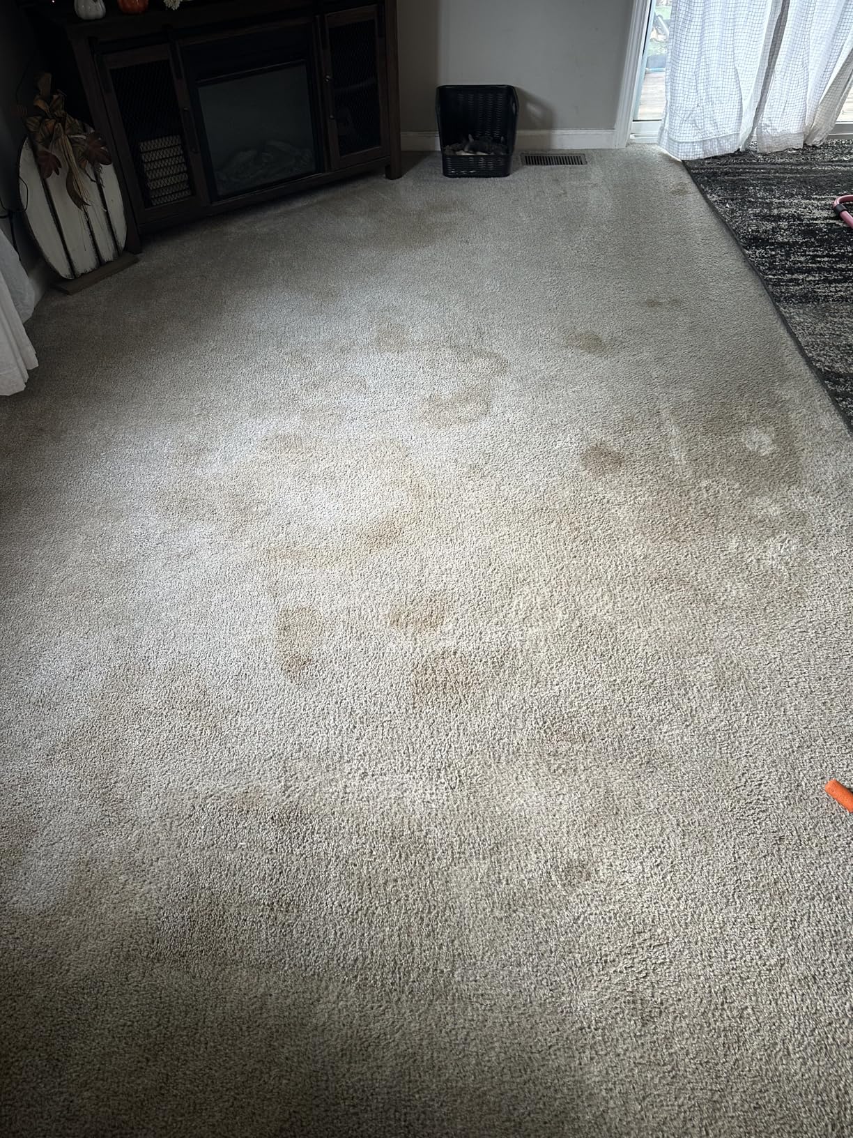 Shark CarpetXpert Upright Carpet & Area Rug Cleaner, Perfect for Pets, Lightweight & Powerful, Dirt, Grime, & Odor Removal, Carpet Shampooer, Cleaning Solution, Blue, EX121BRN - Customer Photo 4