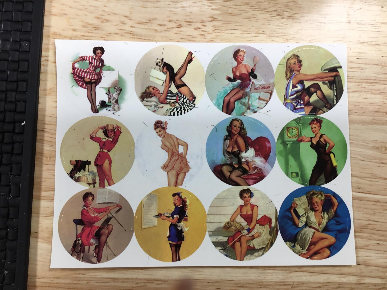 X-bet MAGNET Adorable Kitchen and Office Decor – Floral and Fun Whiteboard Magnets for Home and Locker - Customer Photo 1