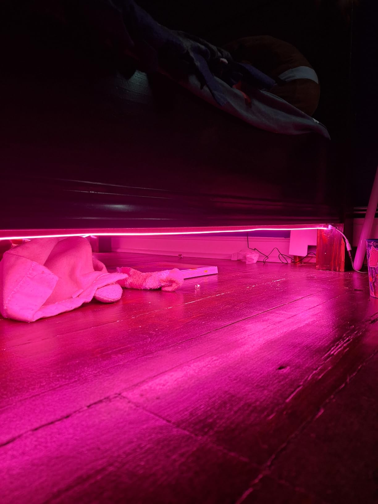 16.4FT Led Neon Rope Lights with APP/Remote Control, Flexible DIY Design, Music Sync Neon Lights for Wall Decor, Outdoor IP67 Waterproof, RGB LED Strip Lights for Bedroom, Living, Gaming, Party Customer Review 16.4FT Led Neon Rope Lights with APP/Remote Control, Flexible DIY Design, Music Sync Neon Lights for Wall Decor, Outdoor IP67 Waterproof, RGB LED Strip Lights for Bedroom, Living, Gaming, Party - Customer Photo 2