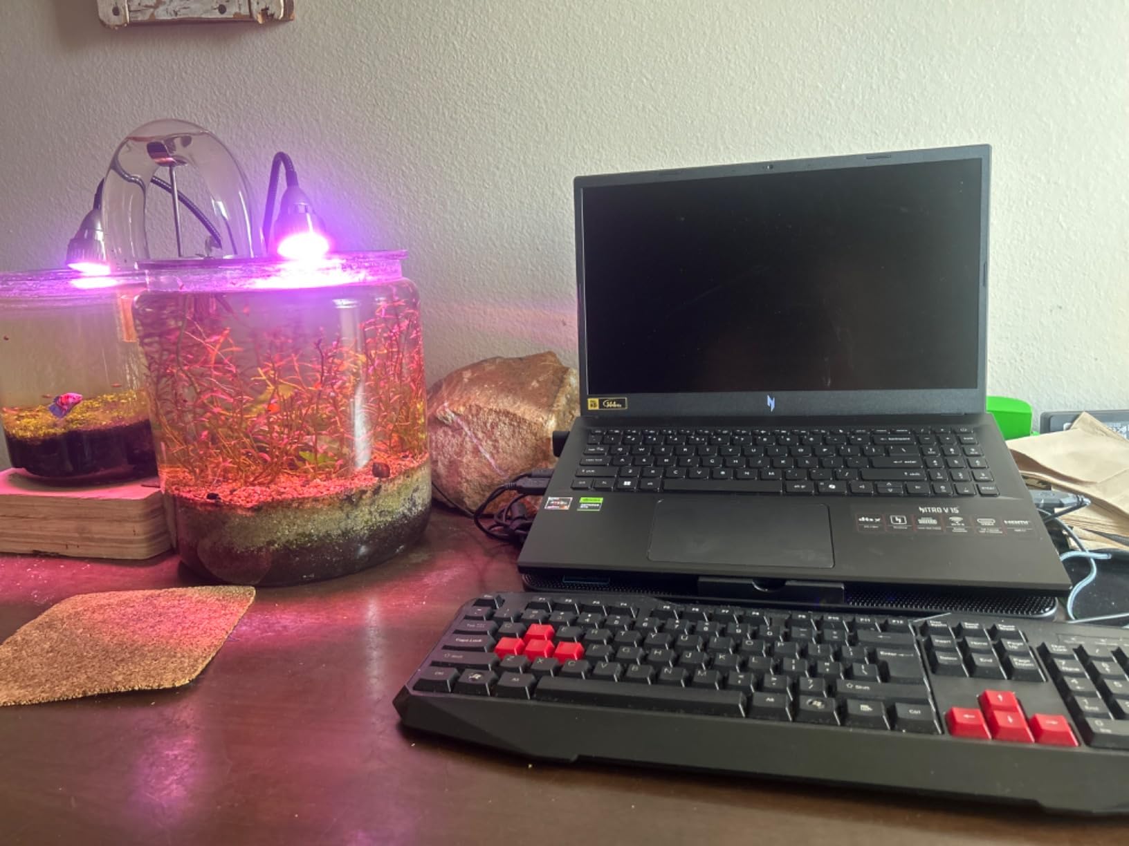 acer Nitro V Gaming Laptop | AMD Ryzen 5 7535HS Hexa-Core Processor | NVIDIA GeForce RTX 4050 Laptop GPU | 15.6