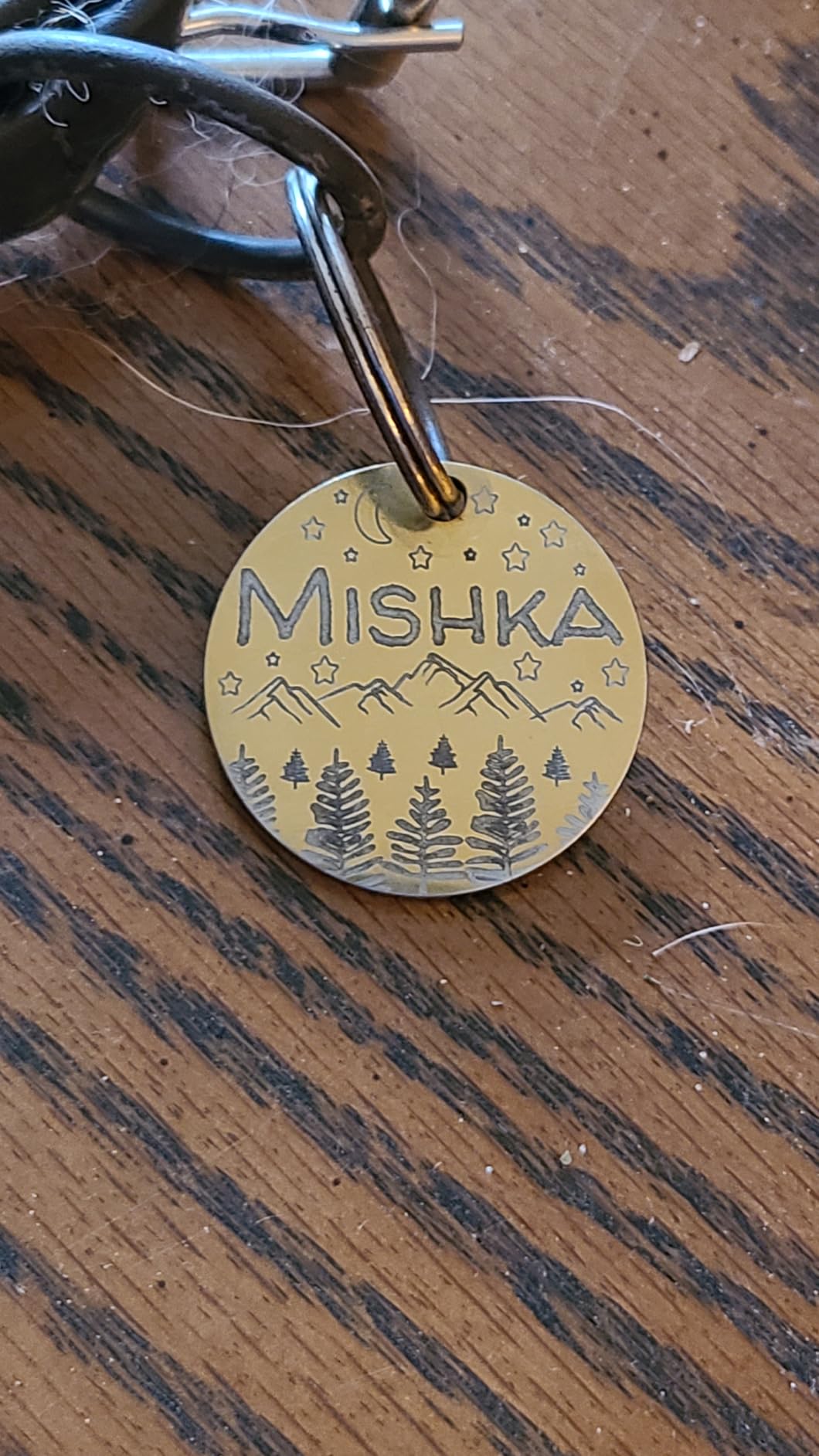 Dog Name Tags Personalized - Placas para Perros Personalizados - Dog Tags Engraved for Pets - Personalized Gifts Dog Tags - Customized Dog Tag for Collar - Small Dog Tags Personalized (Circle, Gold) - Customer Photo 2