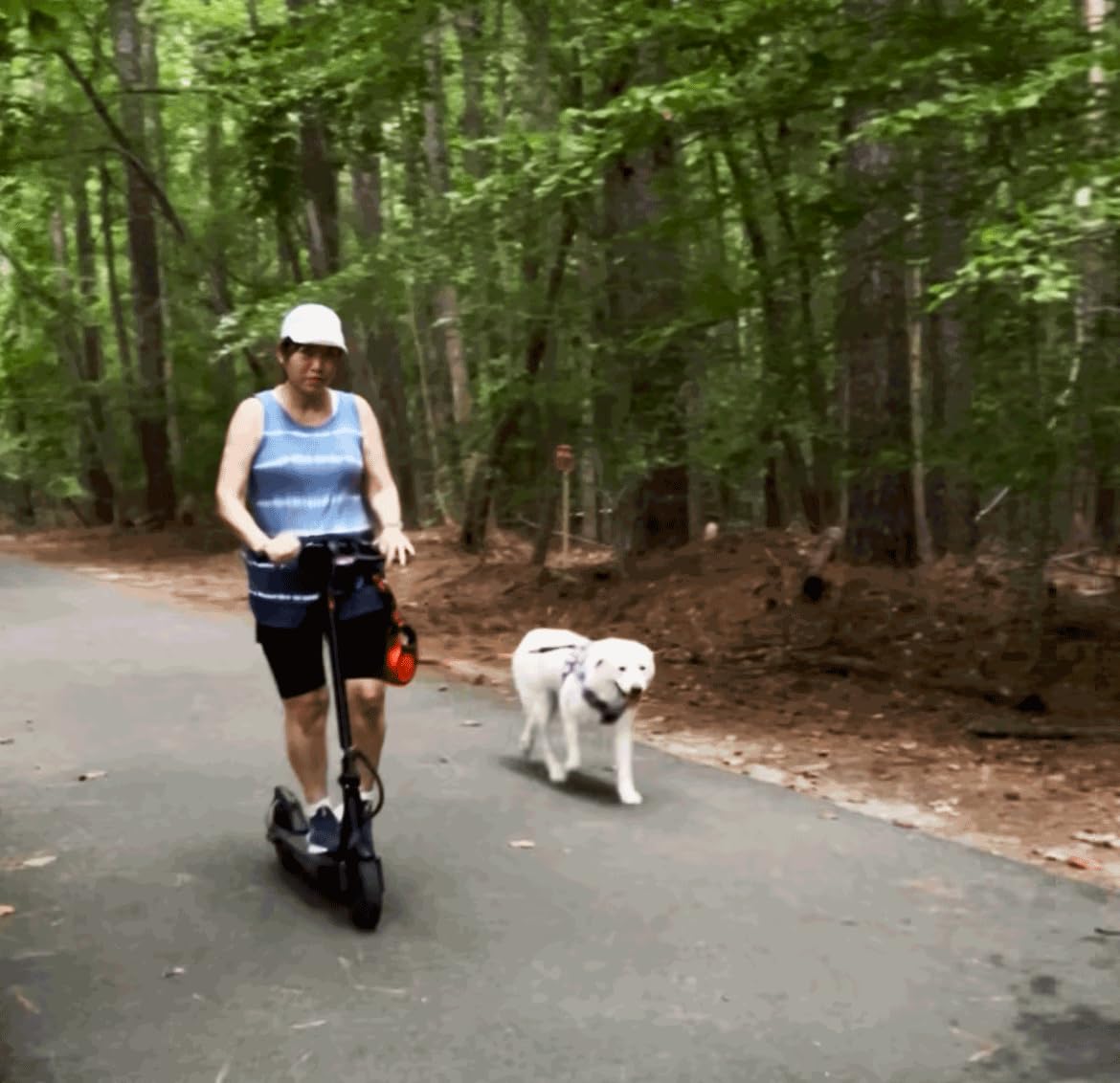 iScooter Electric Scooter Adults & Big Kids, 23/18/12 Miles Long Range,22/19/18 Mph Top Speed, Commuting Electric Scooter with Cruise Control, Double Braking Systems Escooter for Adults and Teens - Customer Photo 2