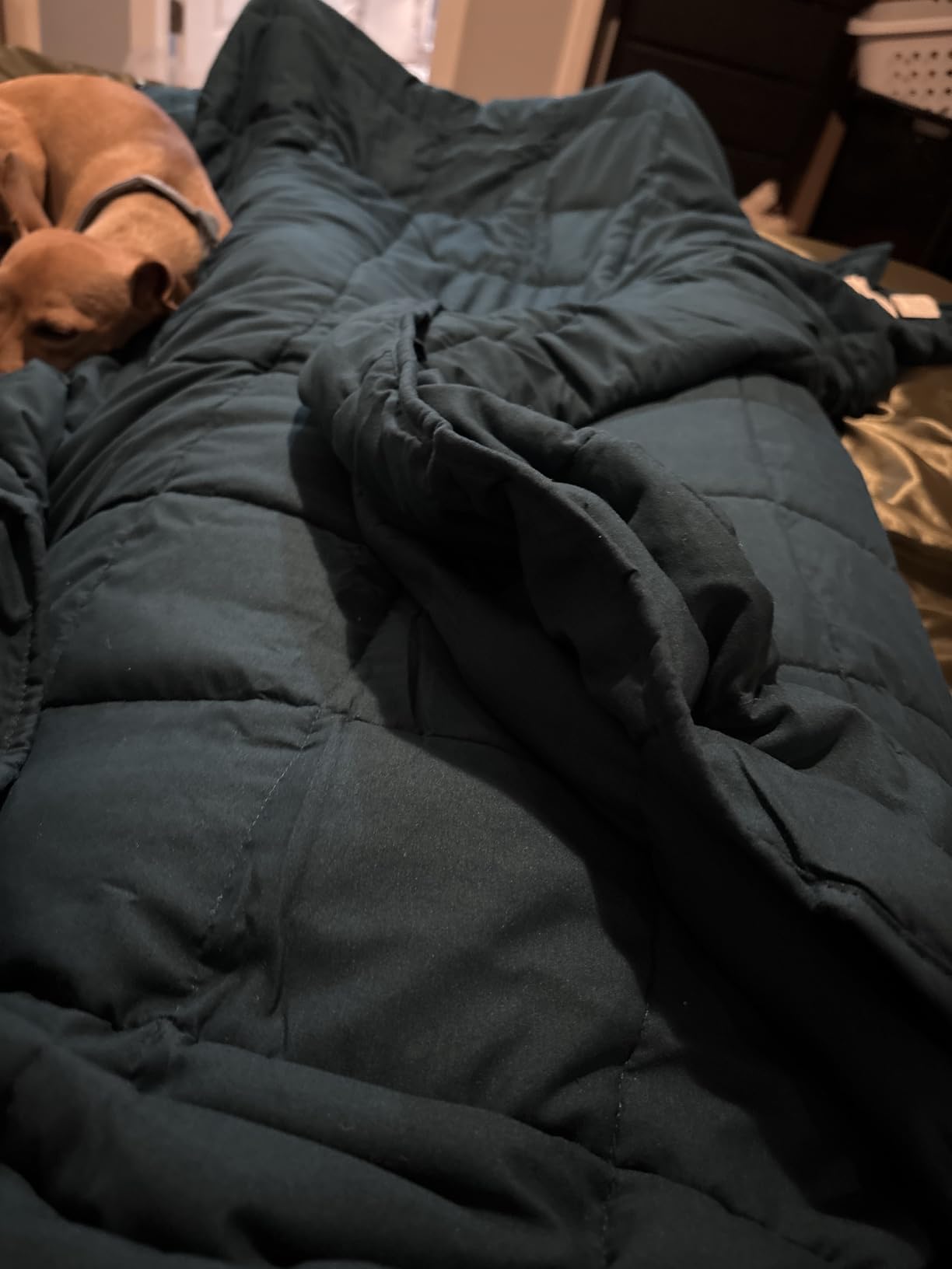 yescool Weighted Blanket for Adults (20 lbs, 60