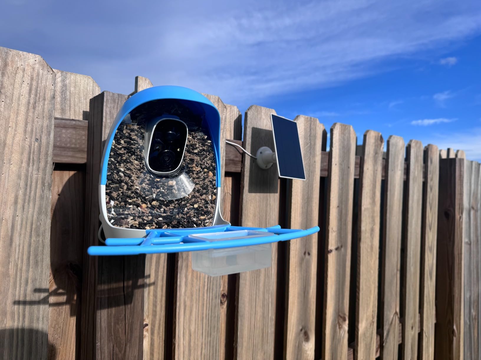 Aomeisi A6 AI Feeder with 2K Solar Camera Squirrel Feeder Identify Hummingbird attractant Motion Detection Two Way Audio SD Slot Gift for Bird Photography Bird Lover - Customer Photo 5