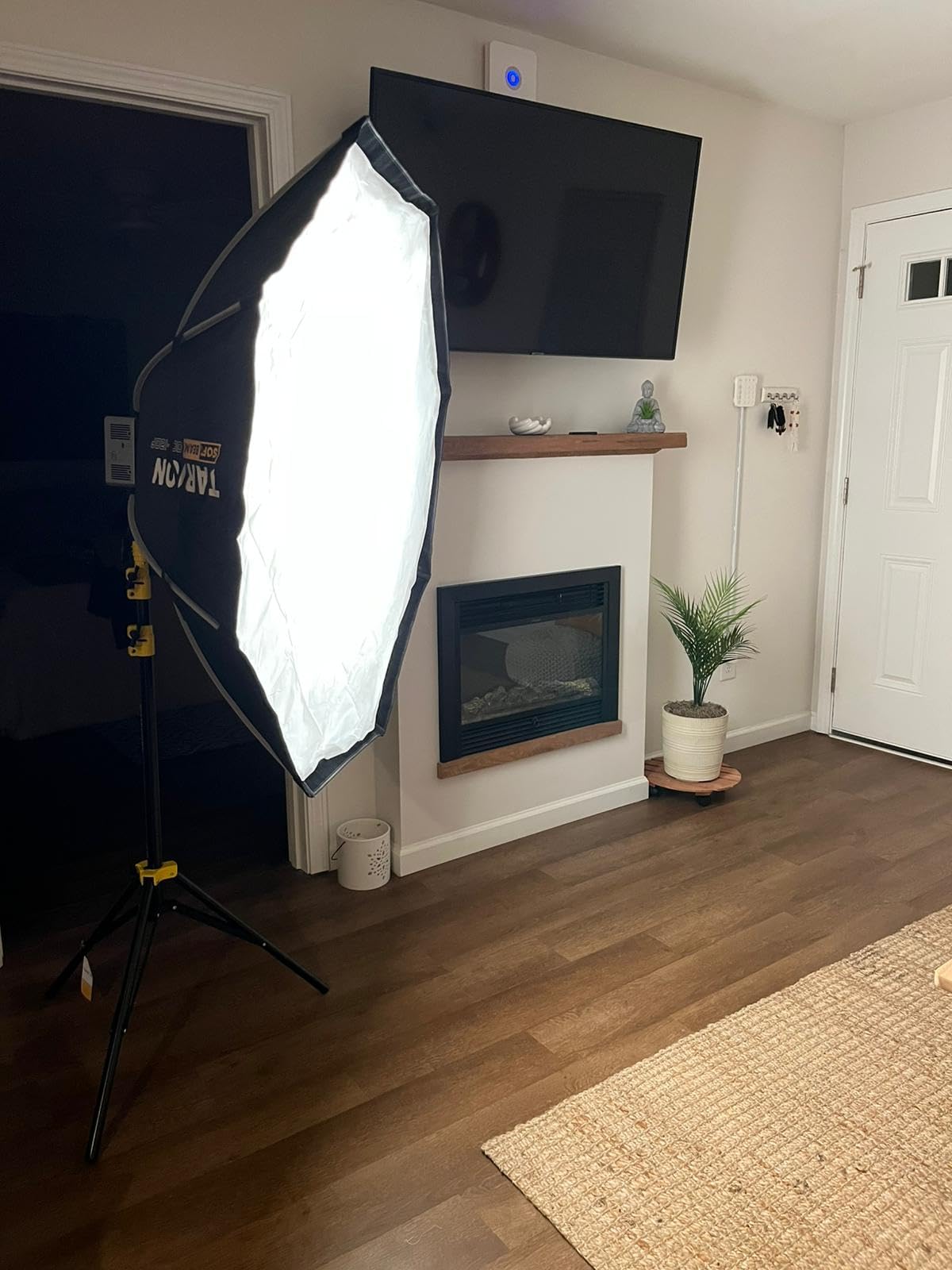 TARION Quick Release Octagonal Softbox - Bowens Mount Softbox with Diffusers/Honeycomb Grid/Carrying Bag for Live Streaming, Photography, Videography (Octagonal 35.4