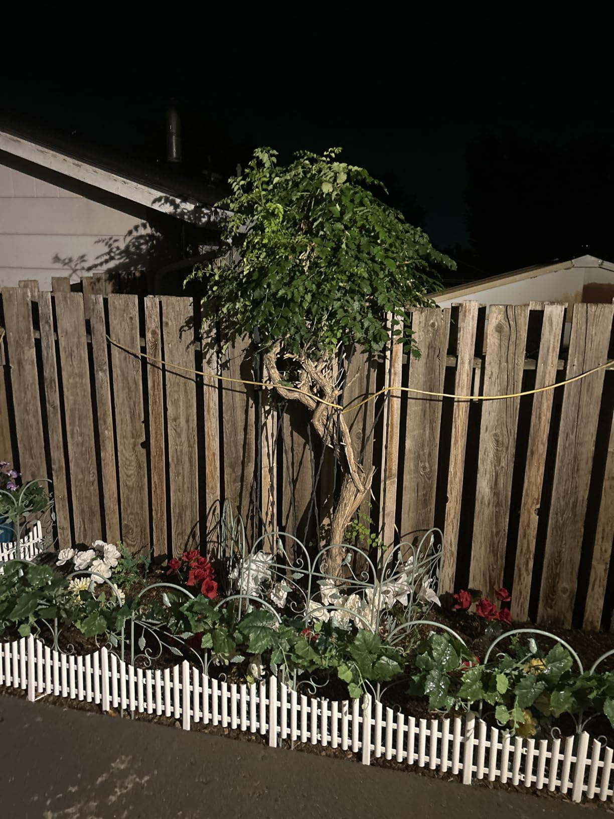 Saker Mini Chainsaw Cordless,6 Inch Chainsaw, Mini Electric Chainsaw Cordless Battery Powered,One-Hand Portable Chain Saw for Tree Trimming - Customer Photo 3